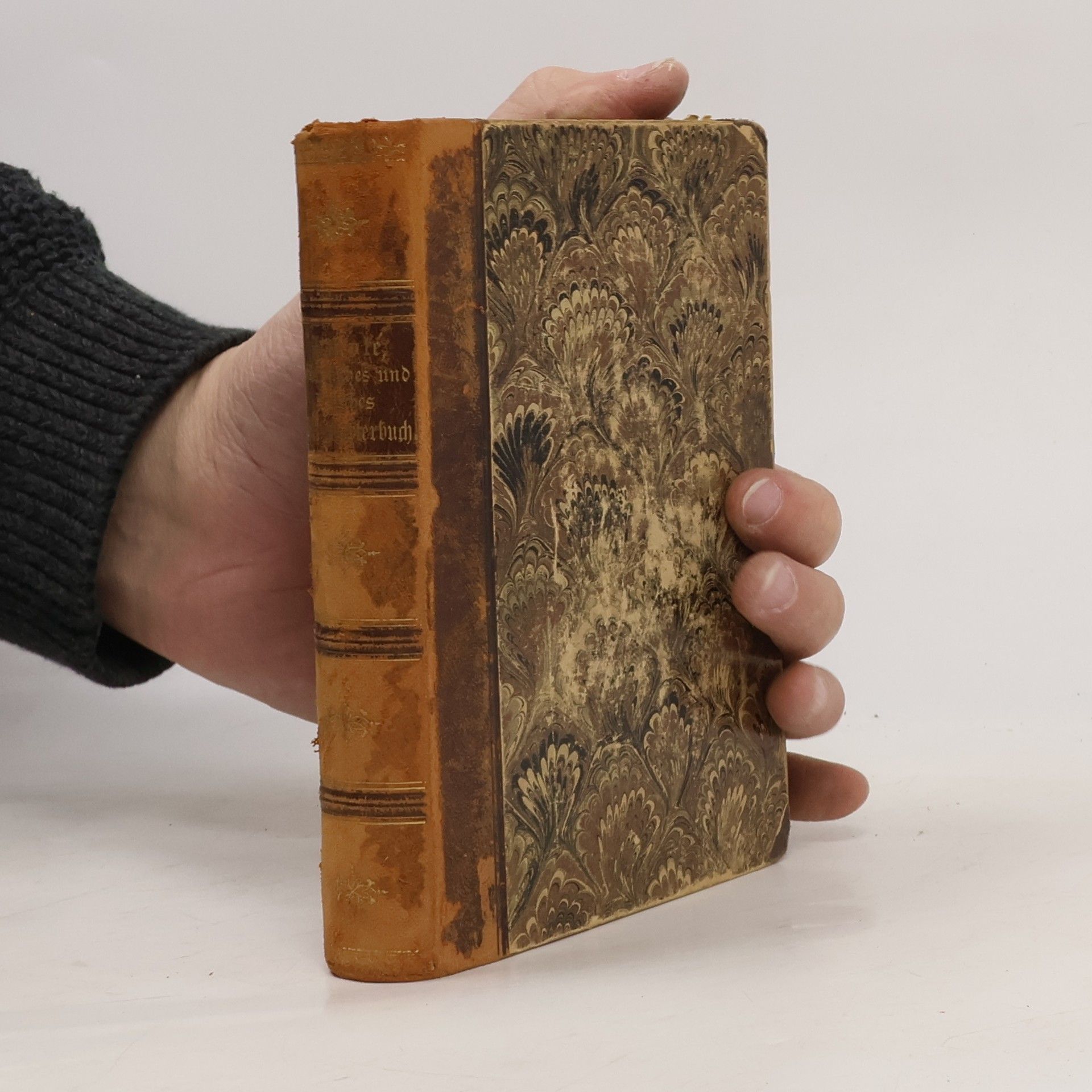 Nouveau dictionnaire de poche français-allemand et allemand-français