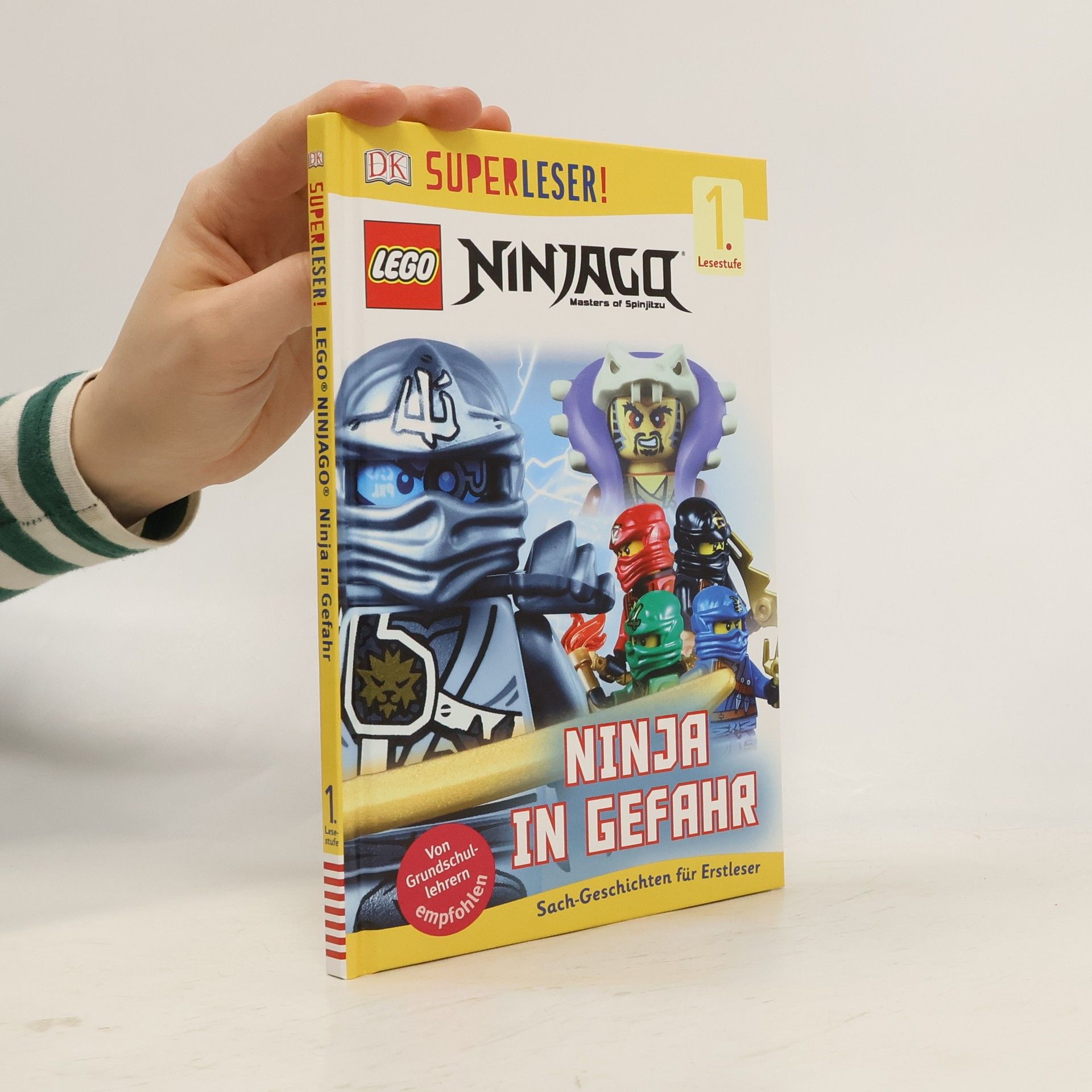 LEGO Ninjago. Masters of spinjitzu. Ninja in Gefahr