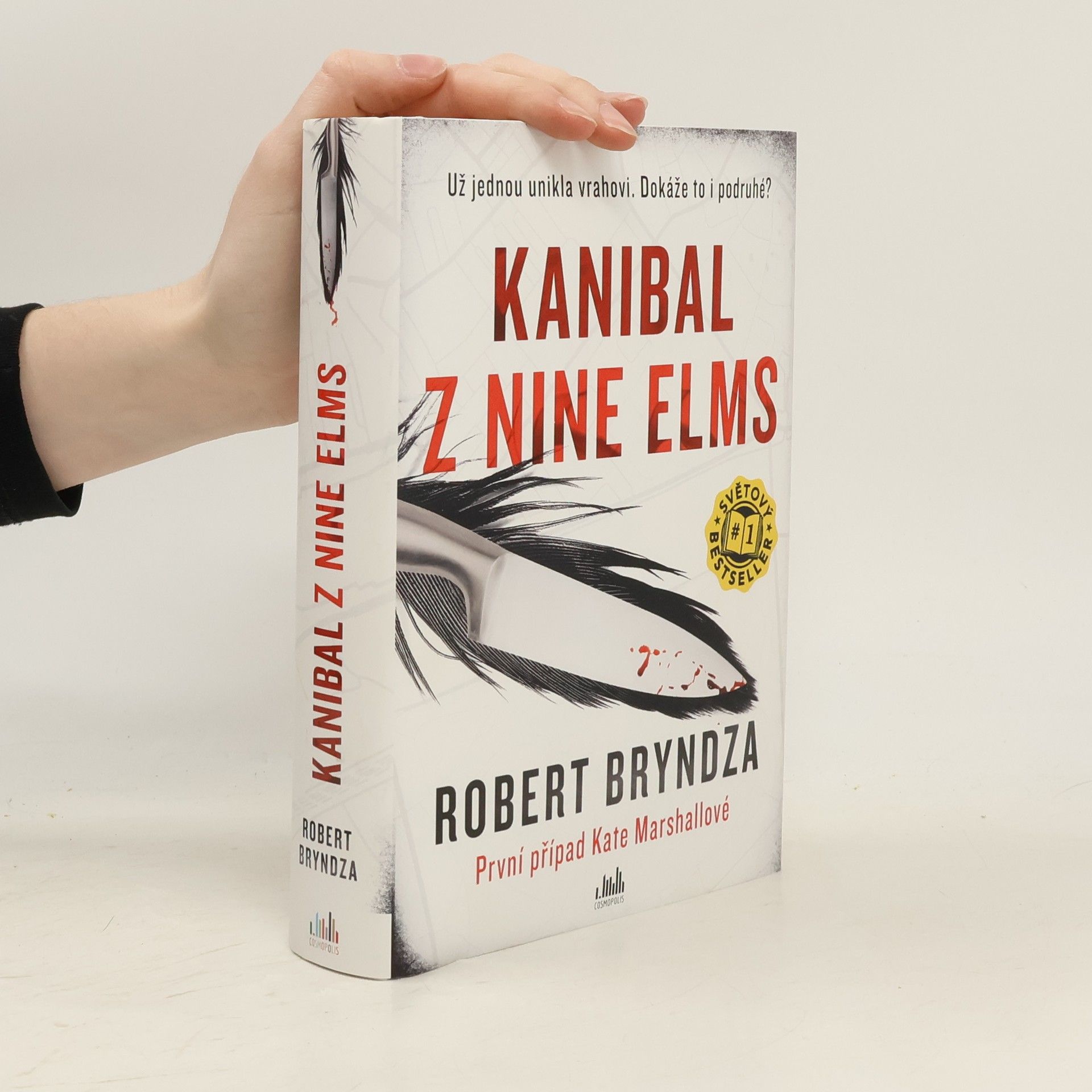 Robert Bryndza Kanibal z Nine Elms