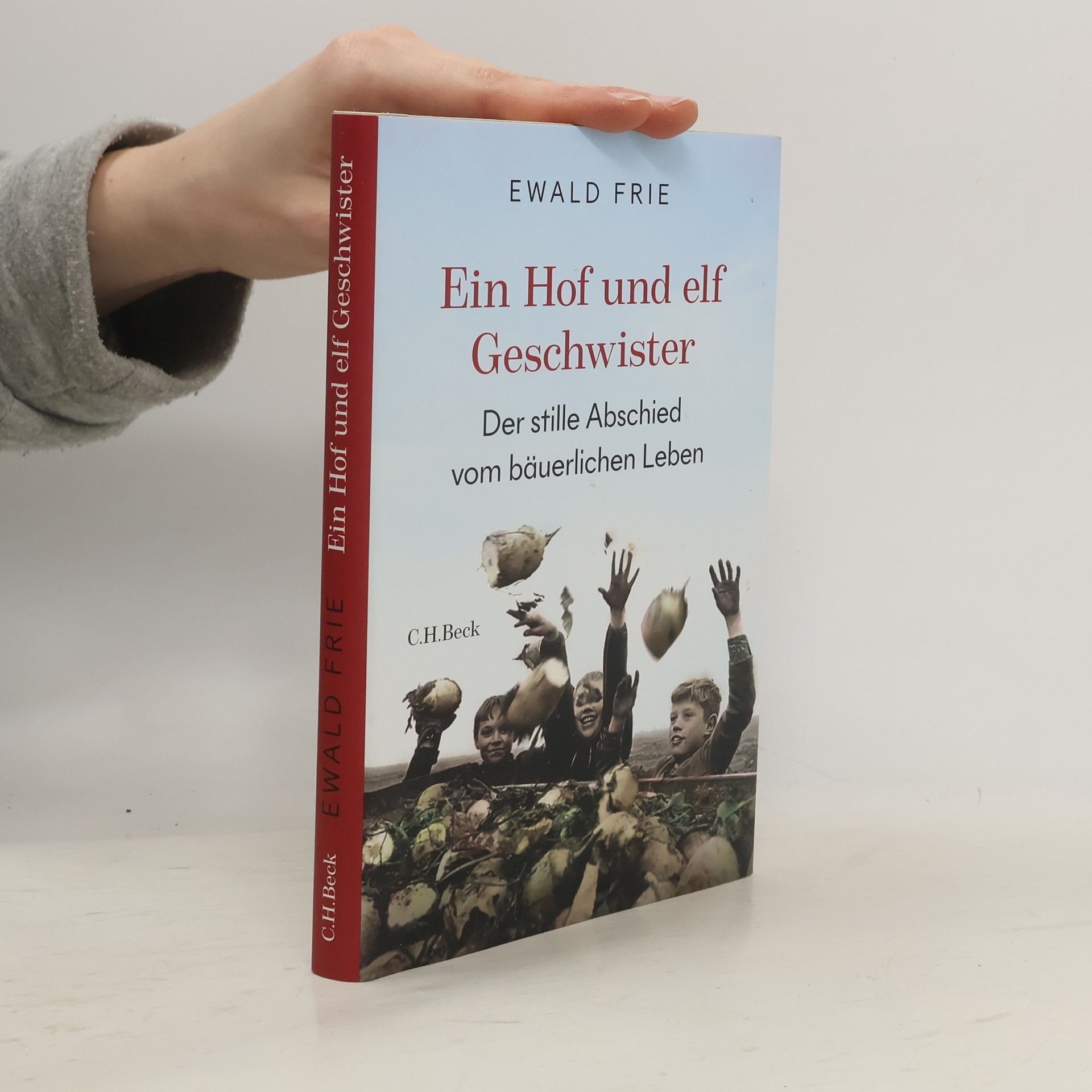 Ewald Frie Ein Hof und elf Geschwister
