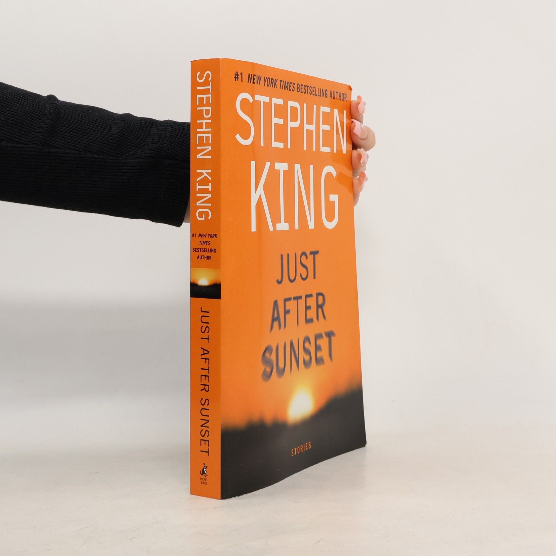 Stephen King Just After Sunset