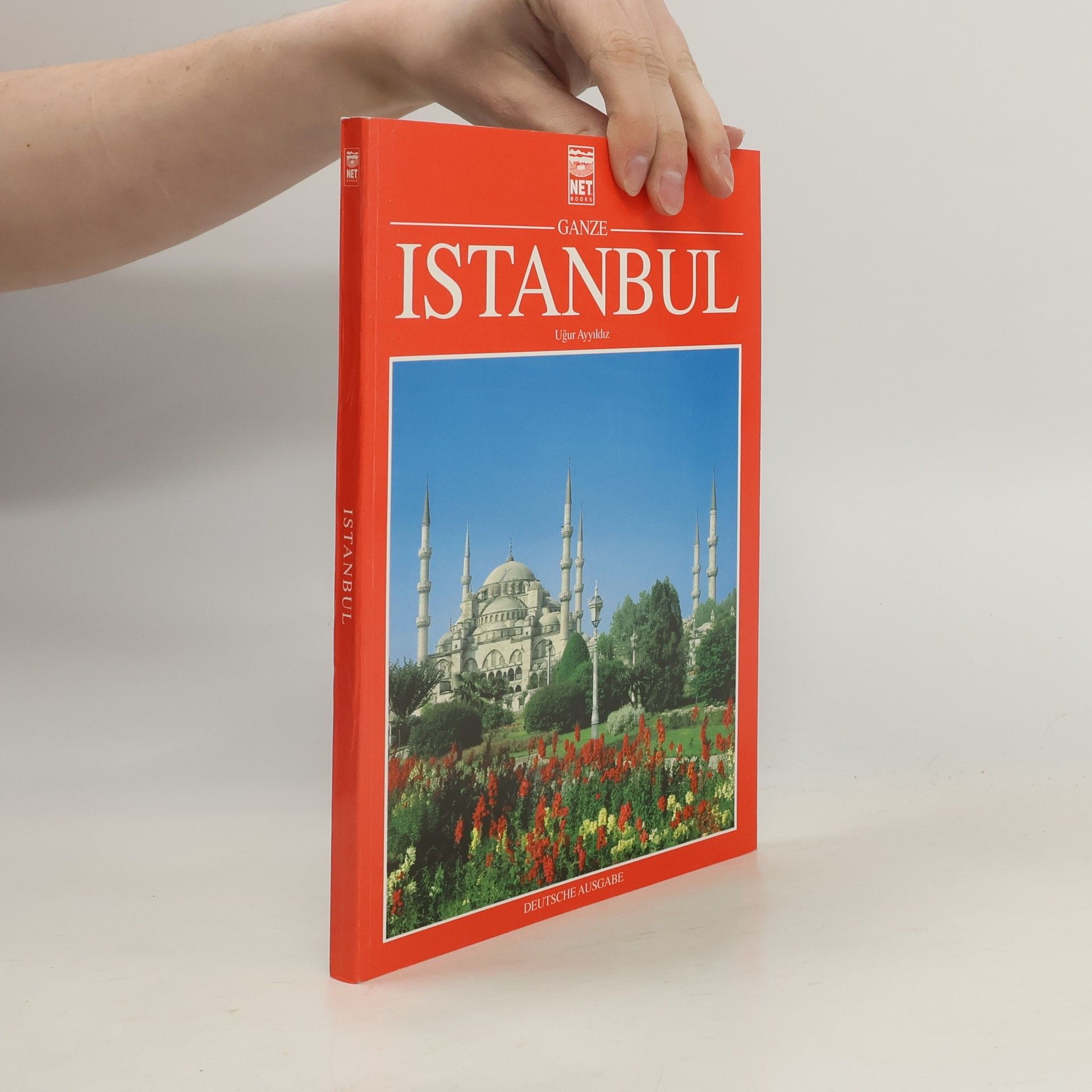 Uğur Ayyıldız Großstadt Istanbul