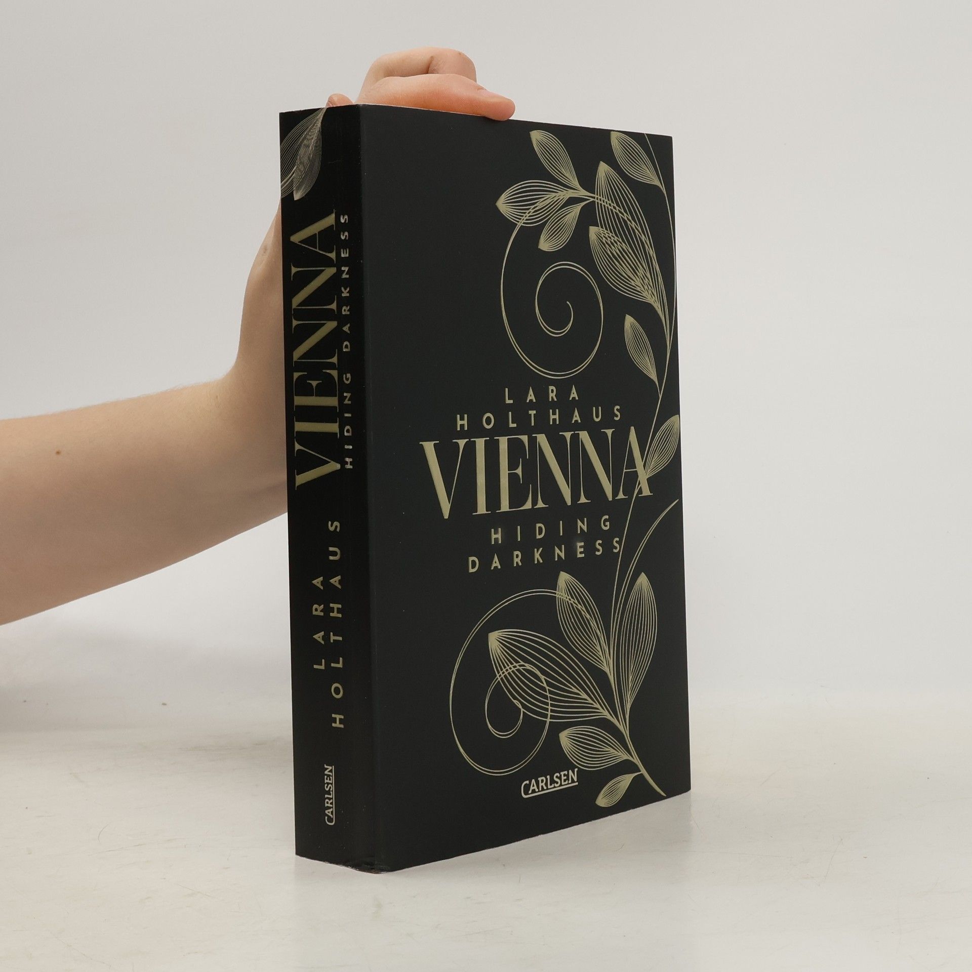 Lara Holthaus Hiding Darkness / Vienna Bd.2