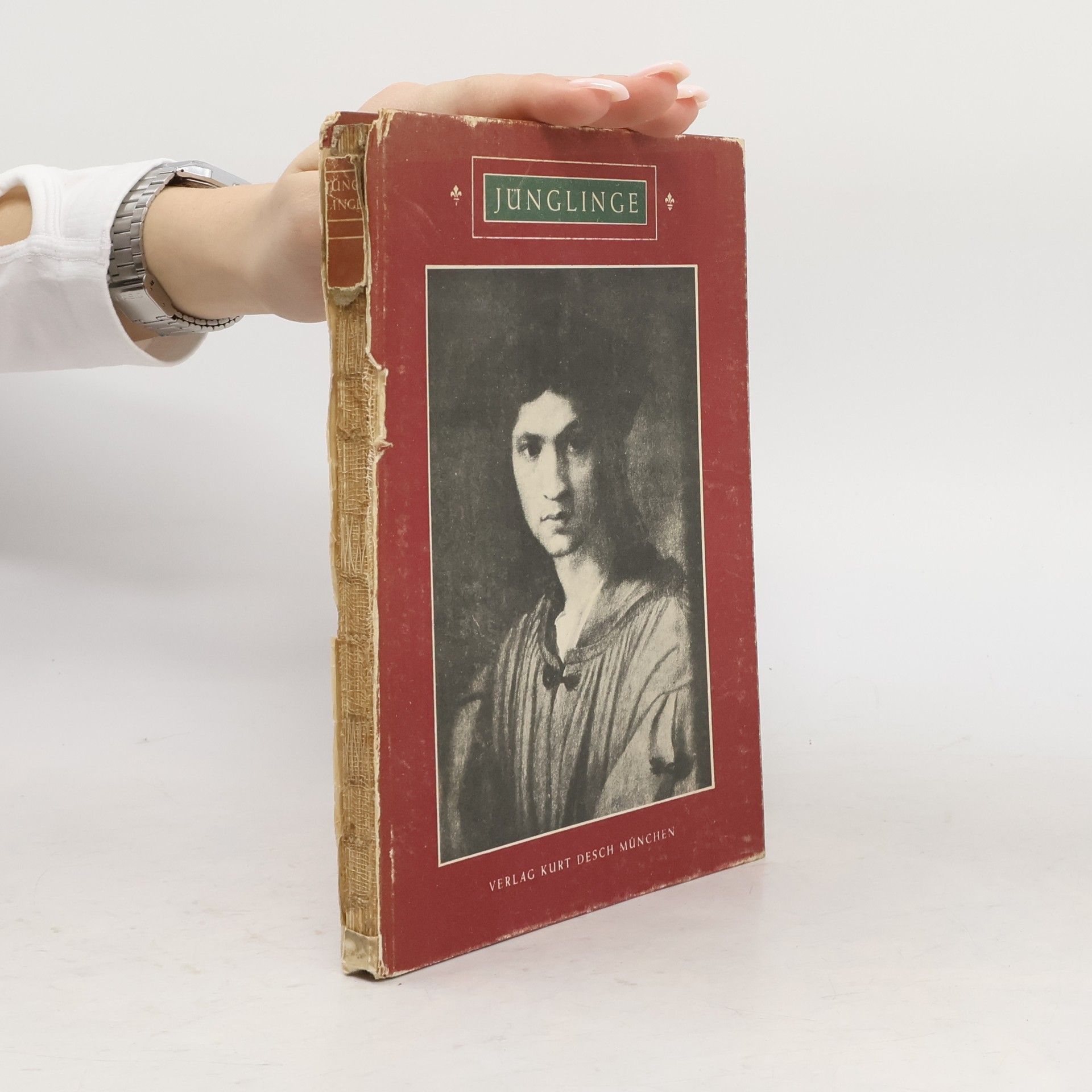 Kolektiv autorů Jünglinge