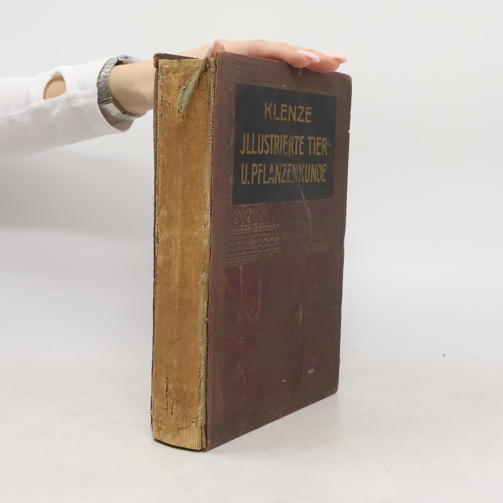H. Klenze Illustrierte Tier und Pflanzenkunde