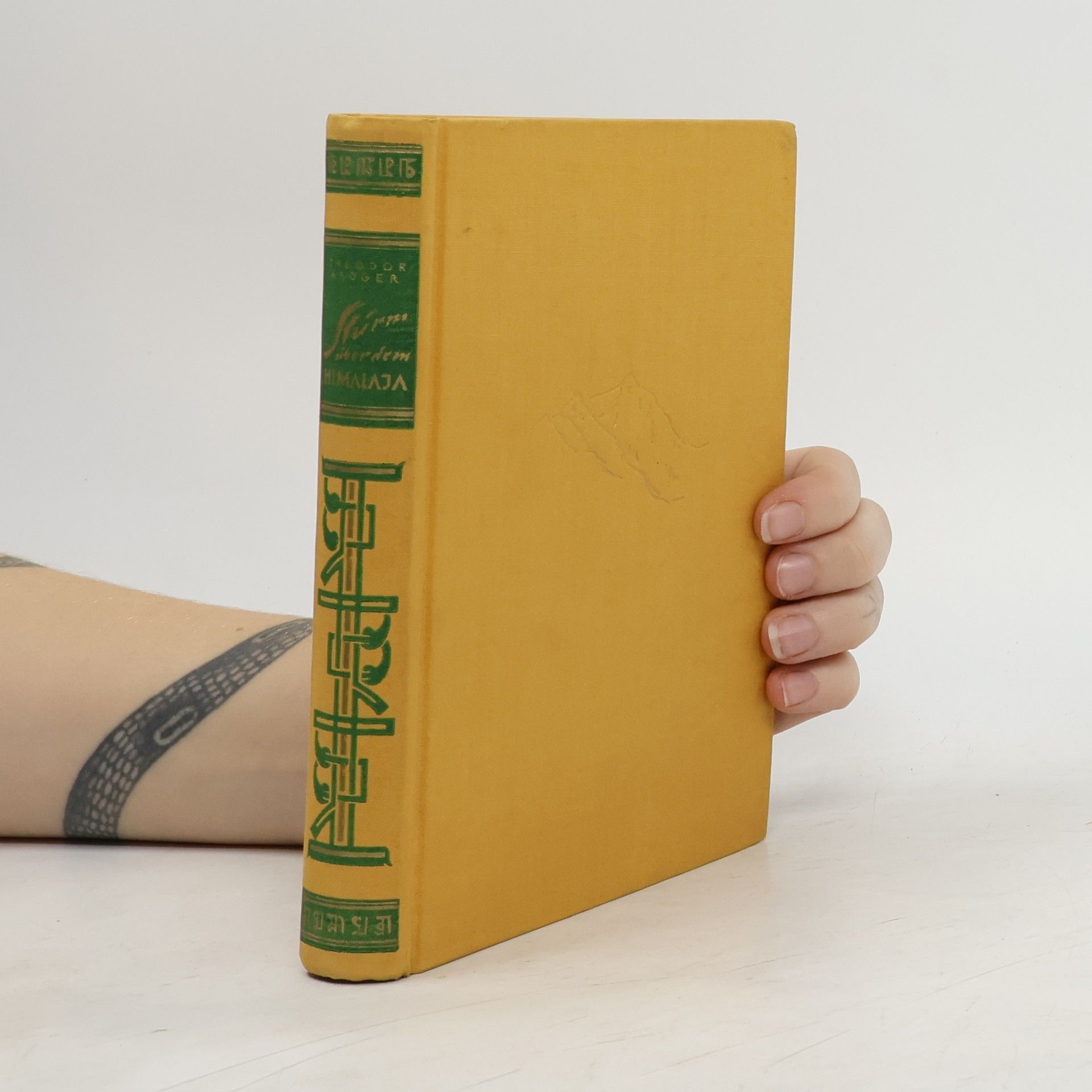 Sturm über dem Himalaja