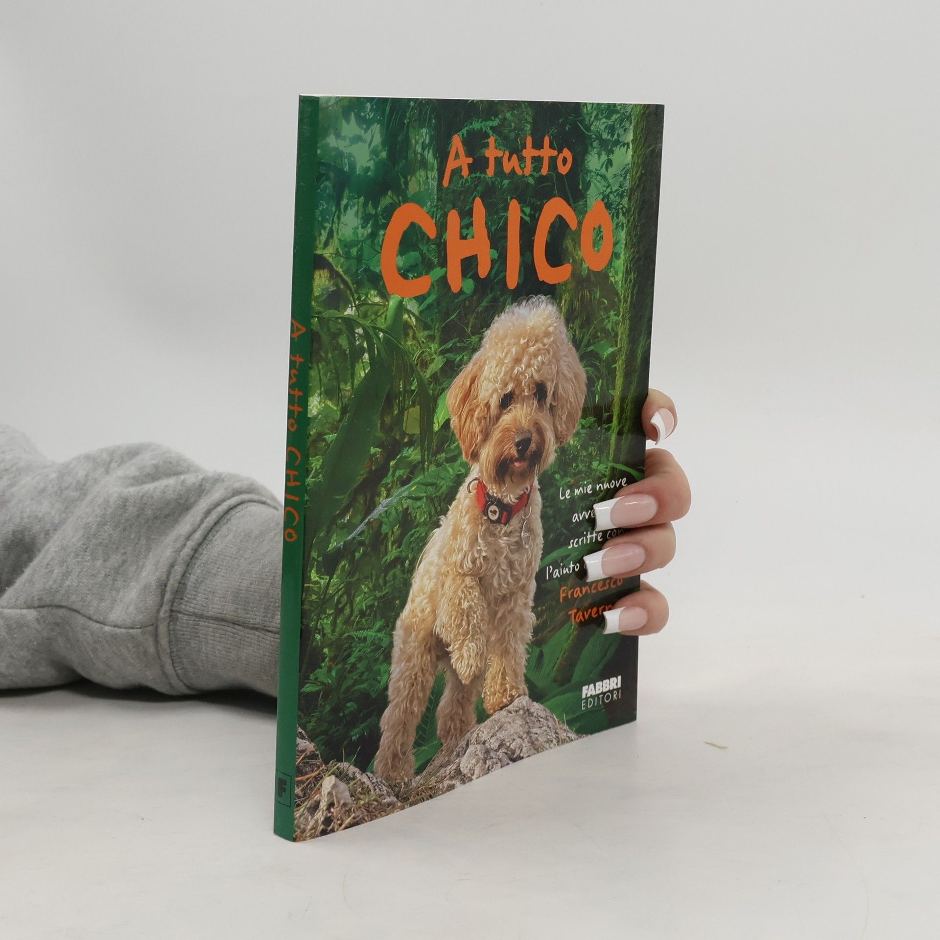 Francesco Taverna A tutto Chico