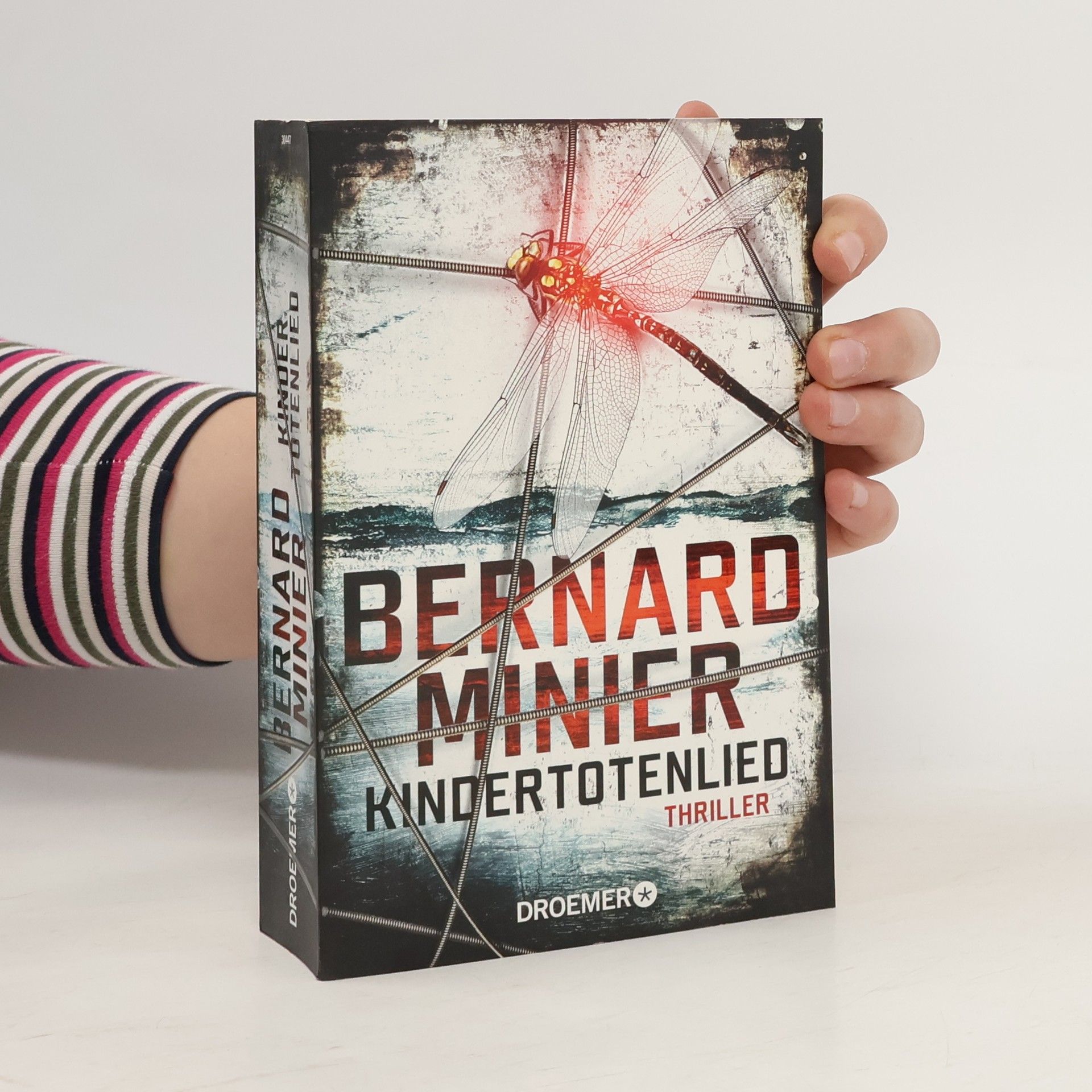 Bernard Minier Kindertotenlied