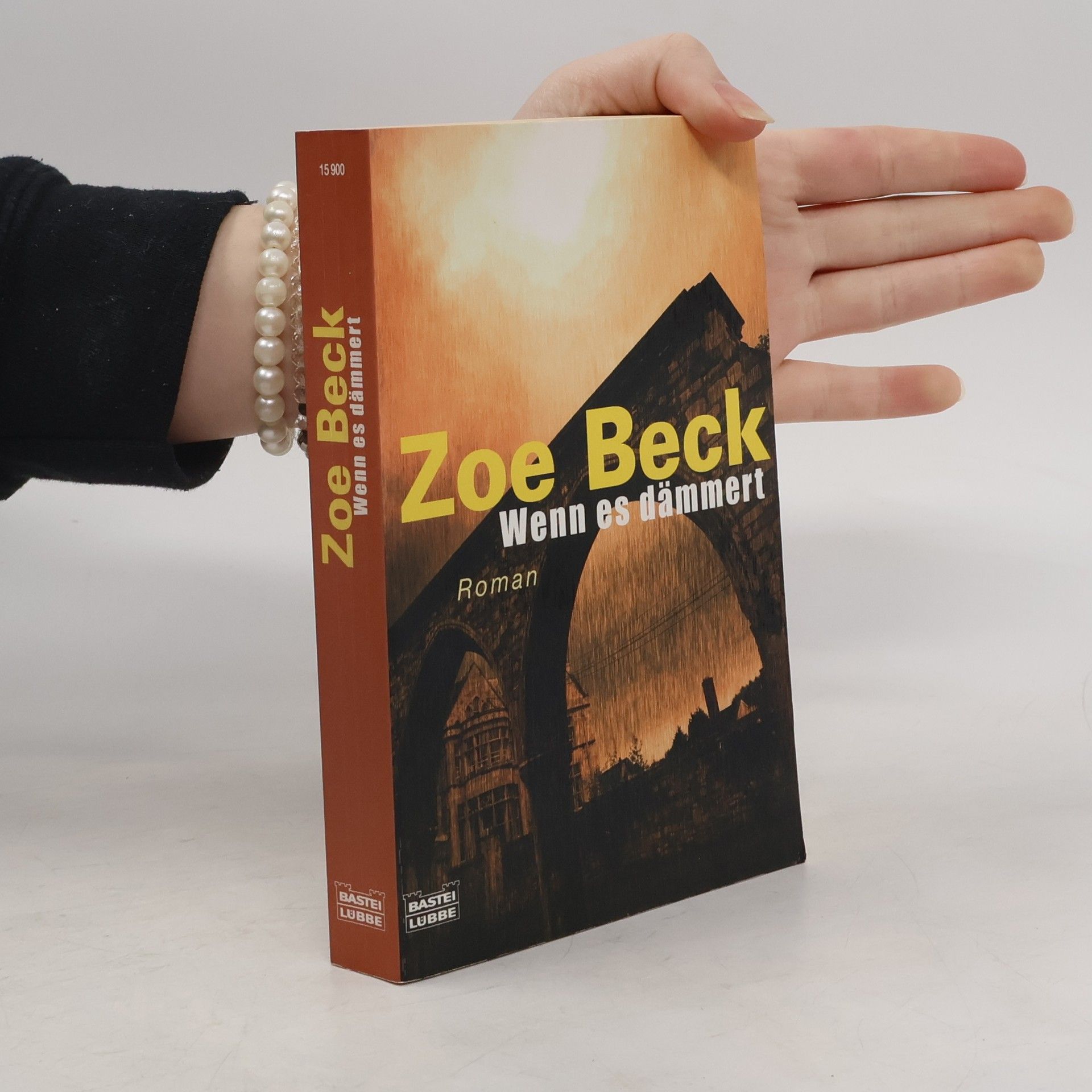 Zoë Beck Wenn es dämmert