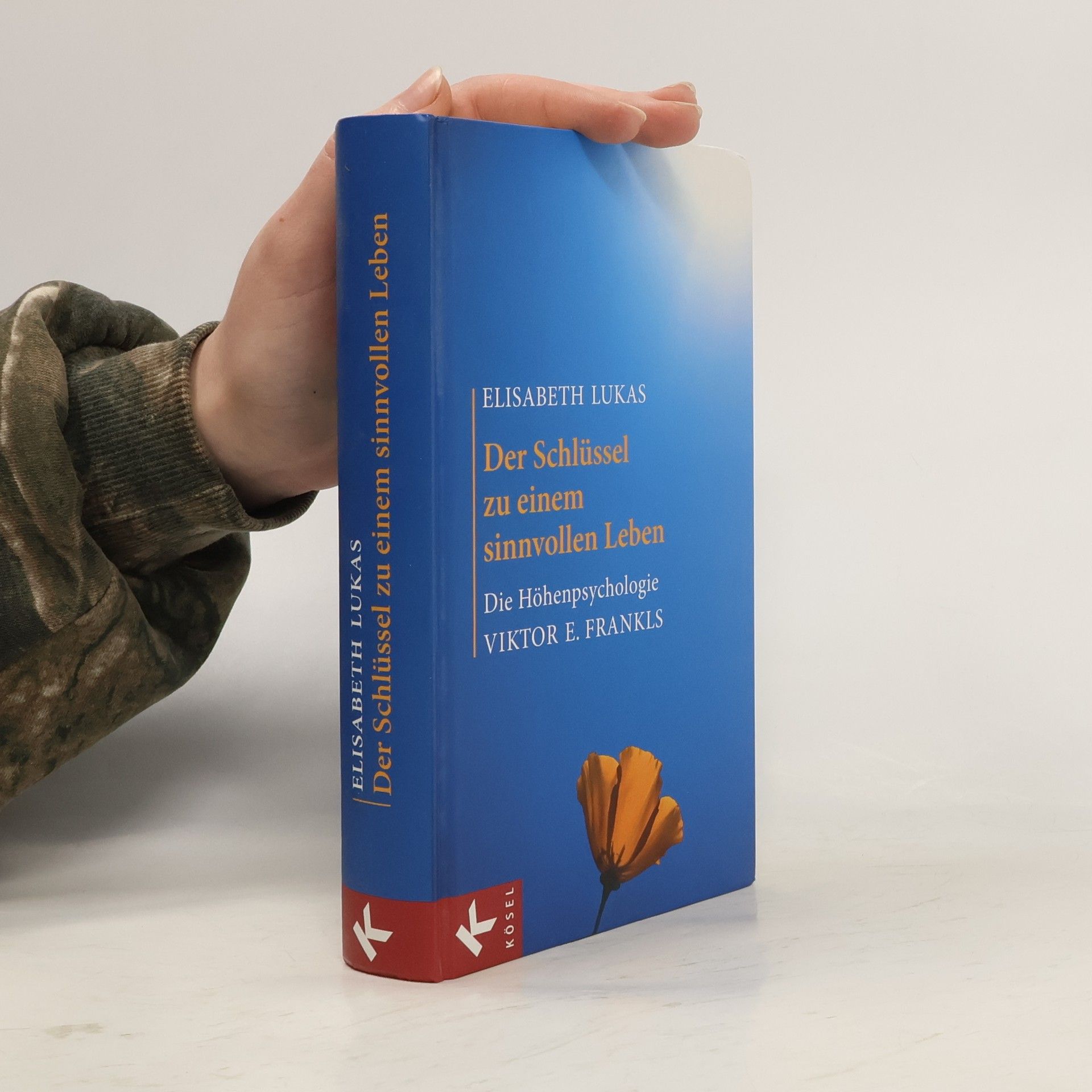 Elisabeth Lukas Der Schlüssel zu einem sinnvollen Leben
