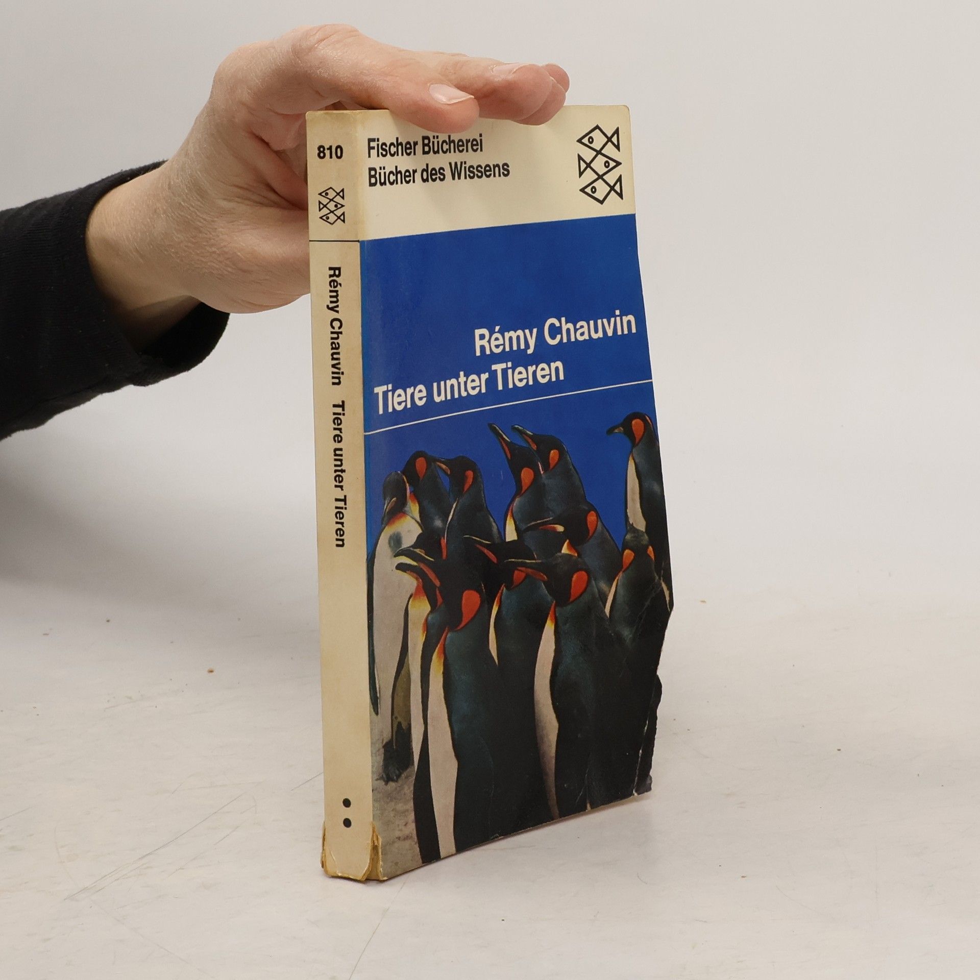 Rémy Chauvin Tiere unter Tieren