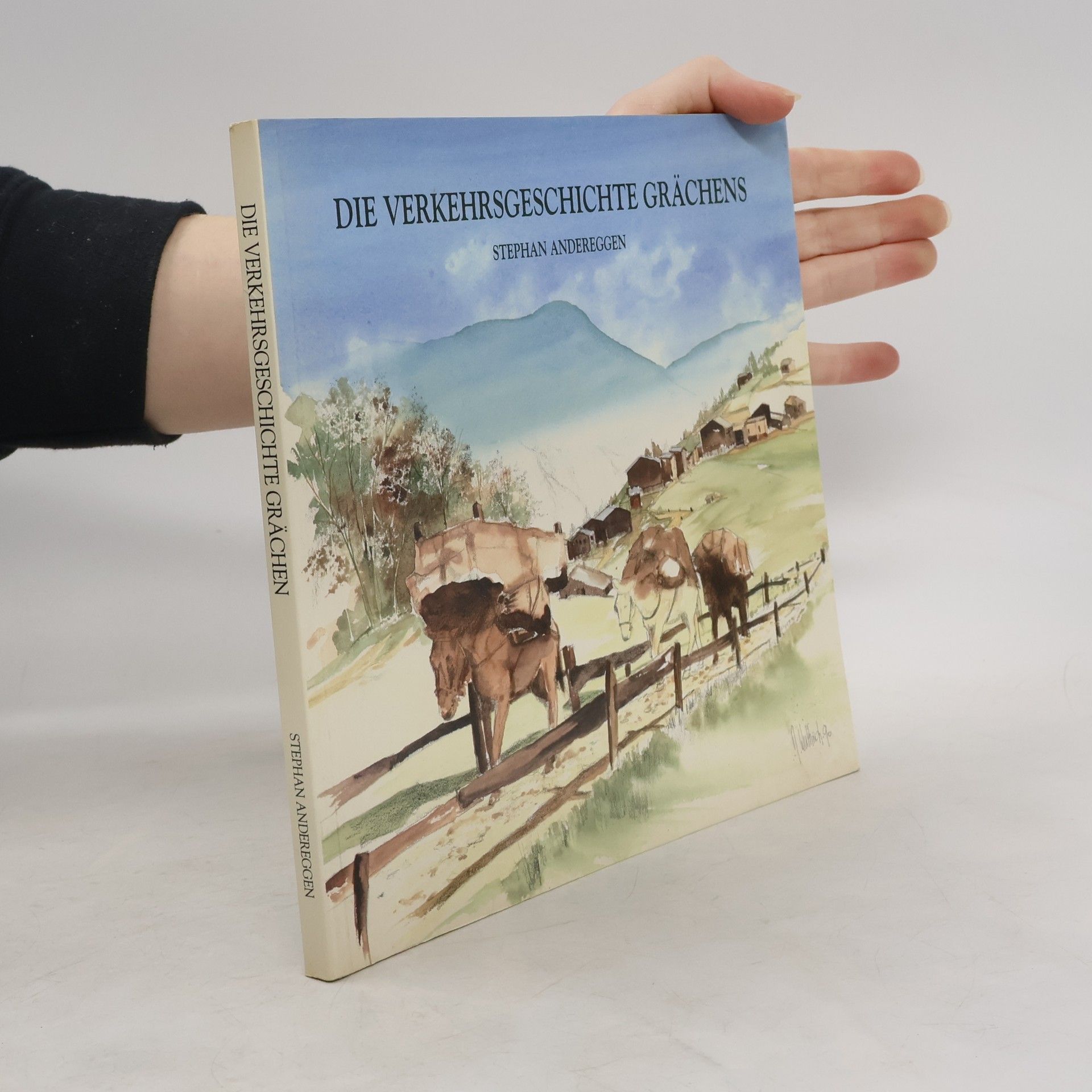 Die Verkehrsgeschichte Grächens