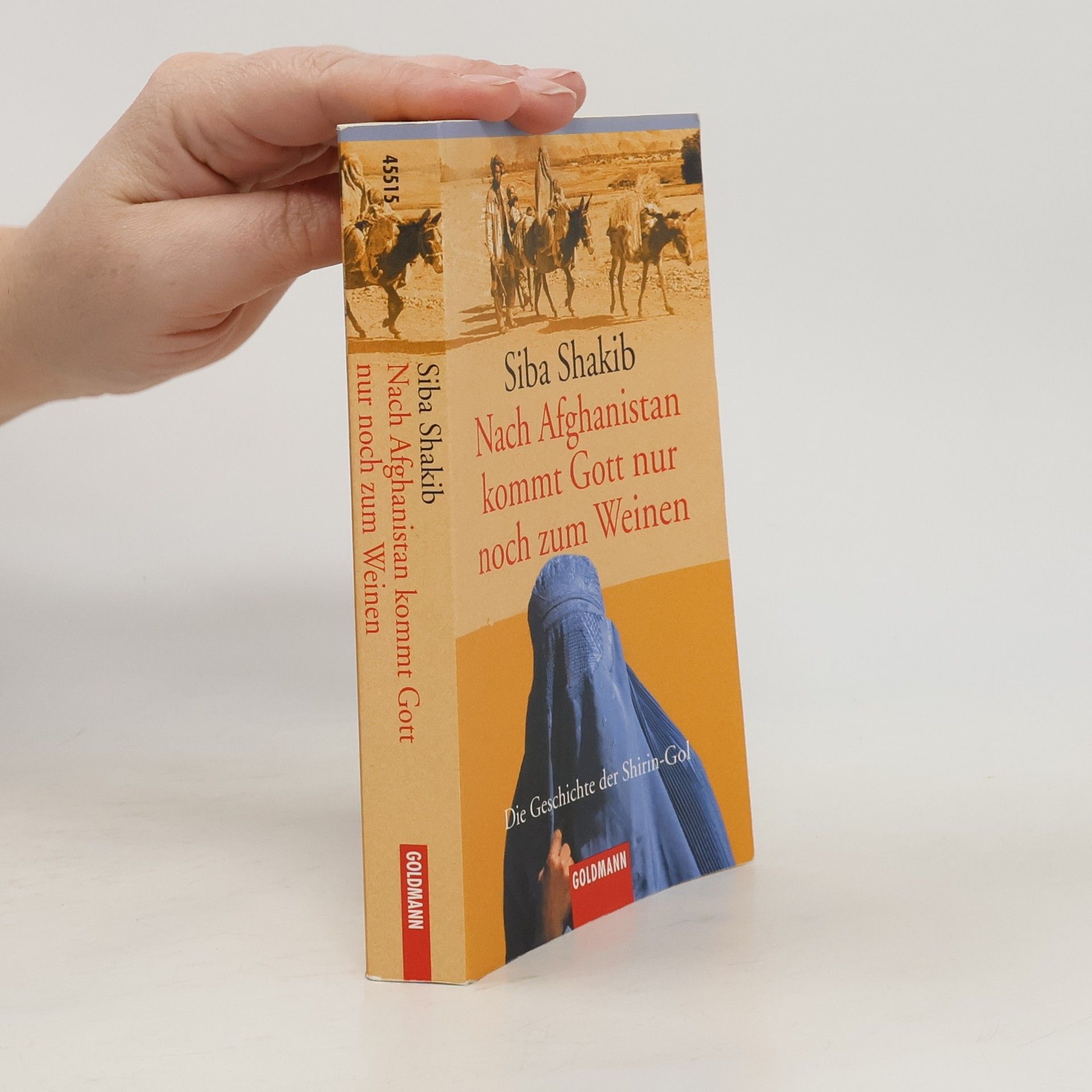 Síba Shakib Nach Afghanistan kommt Gott nur noch zum Weinen