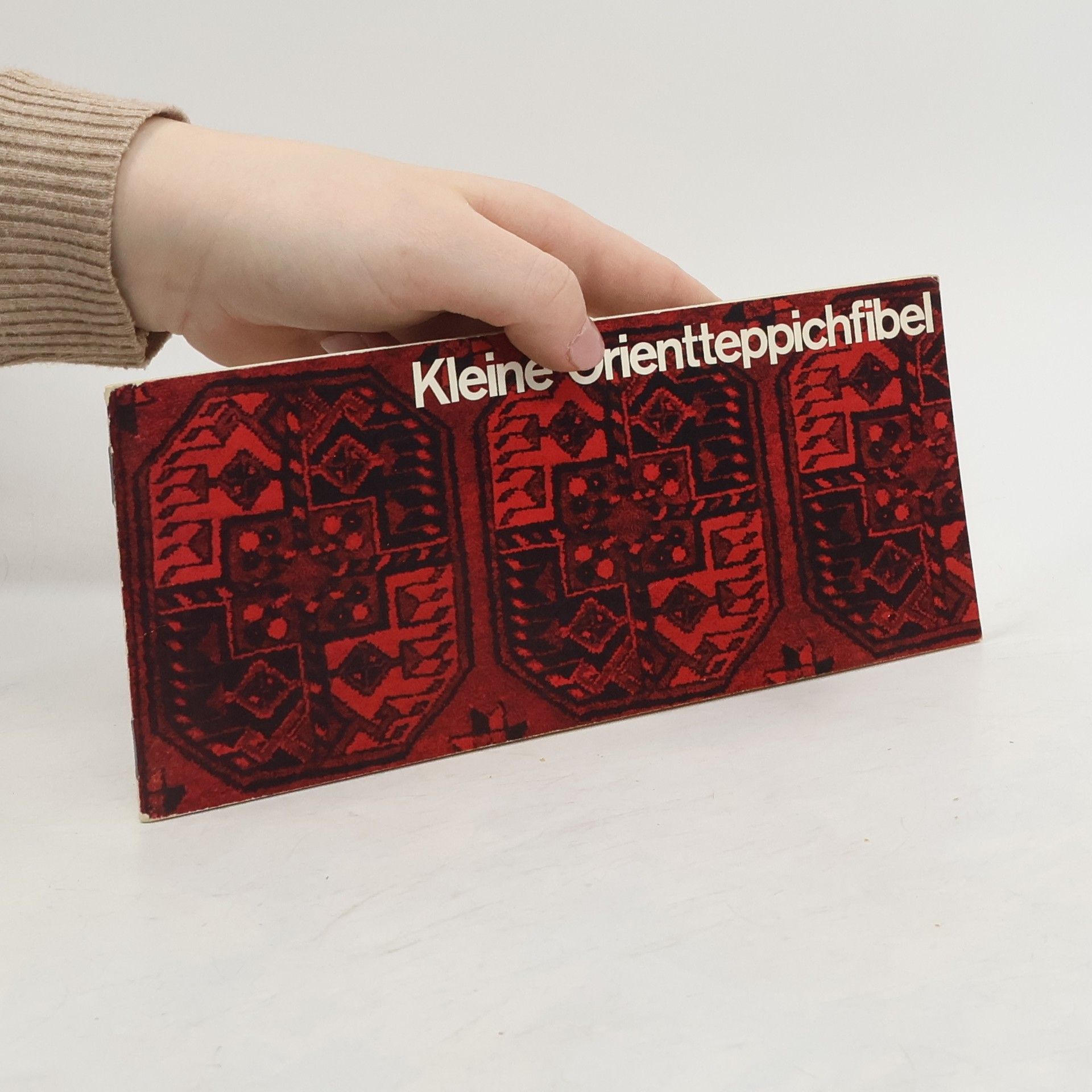 Autorenkollektiv Kleine Orientteppichfibel