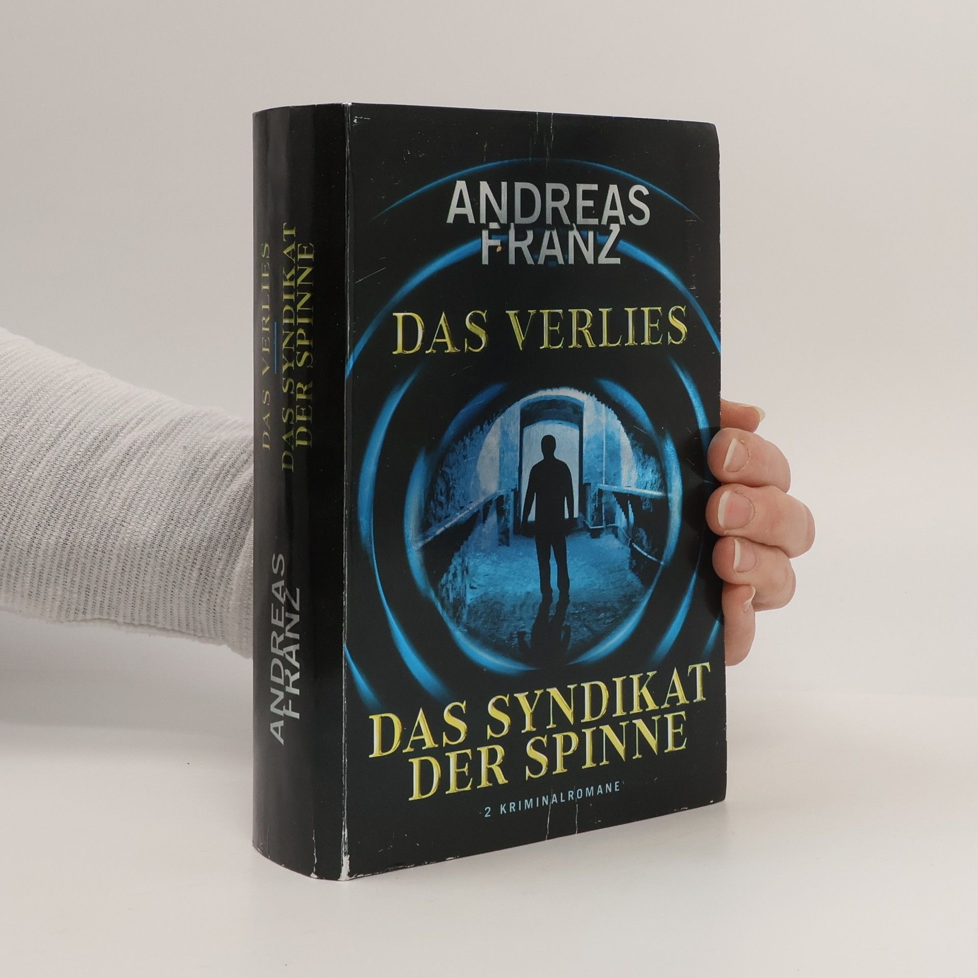 Andreas Franz Das Verlies. Das Syndikat der Spinne
