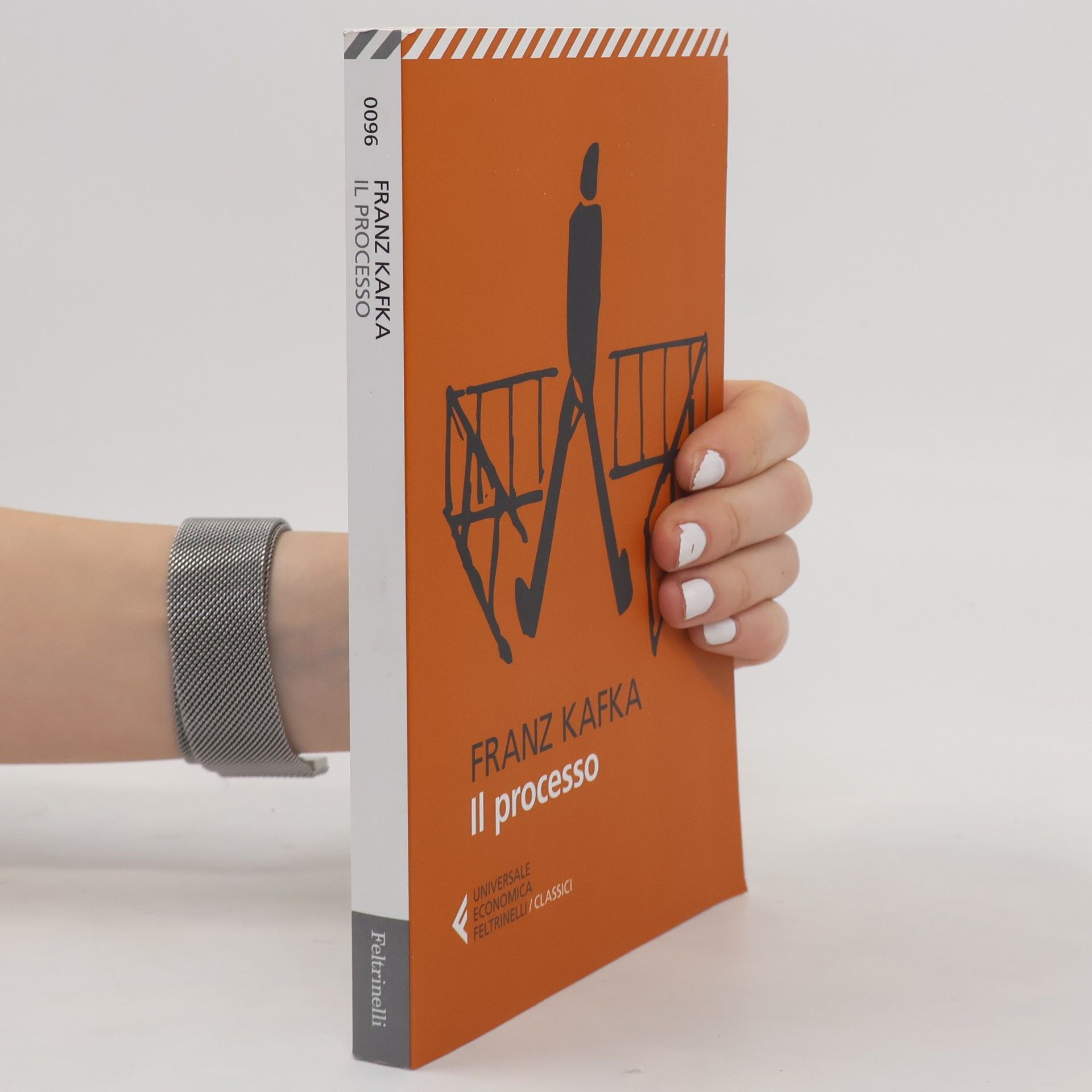 Anita Raja Il processo