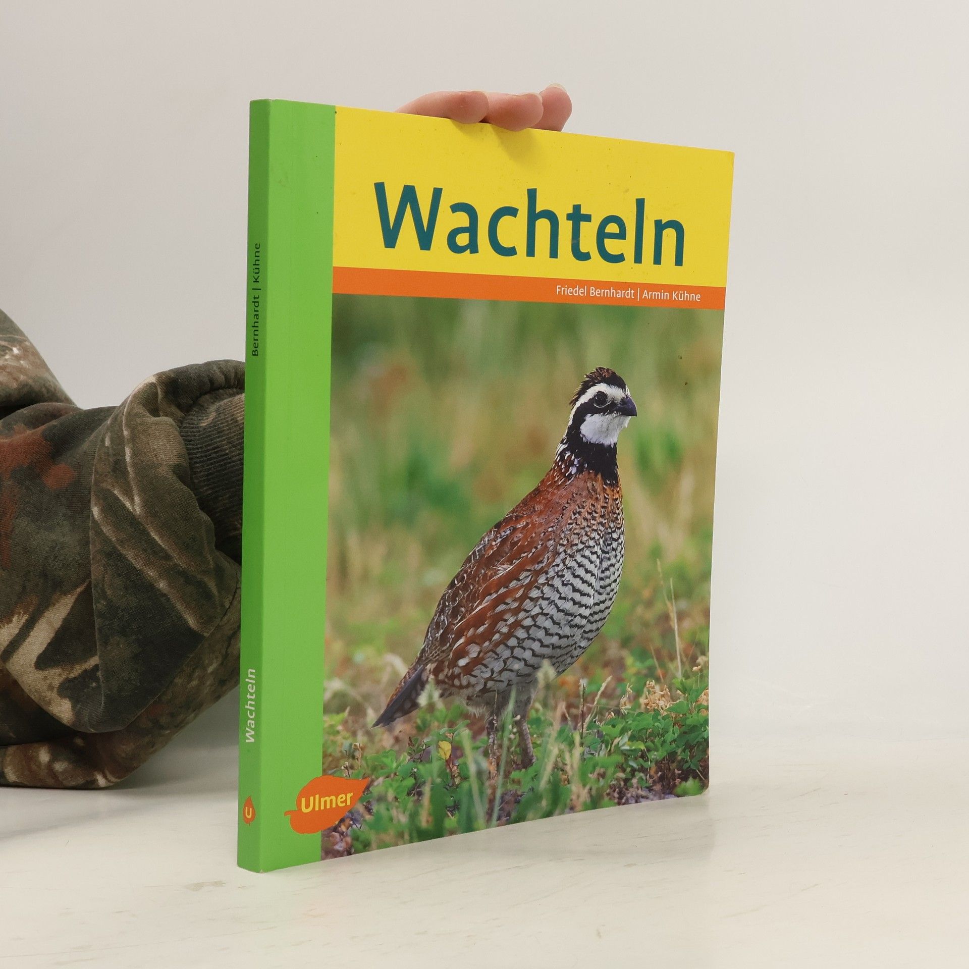 Friedel Bernhardt Wachteln