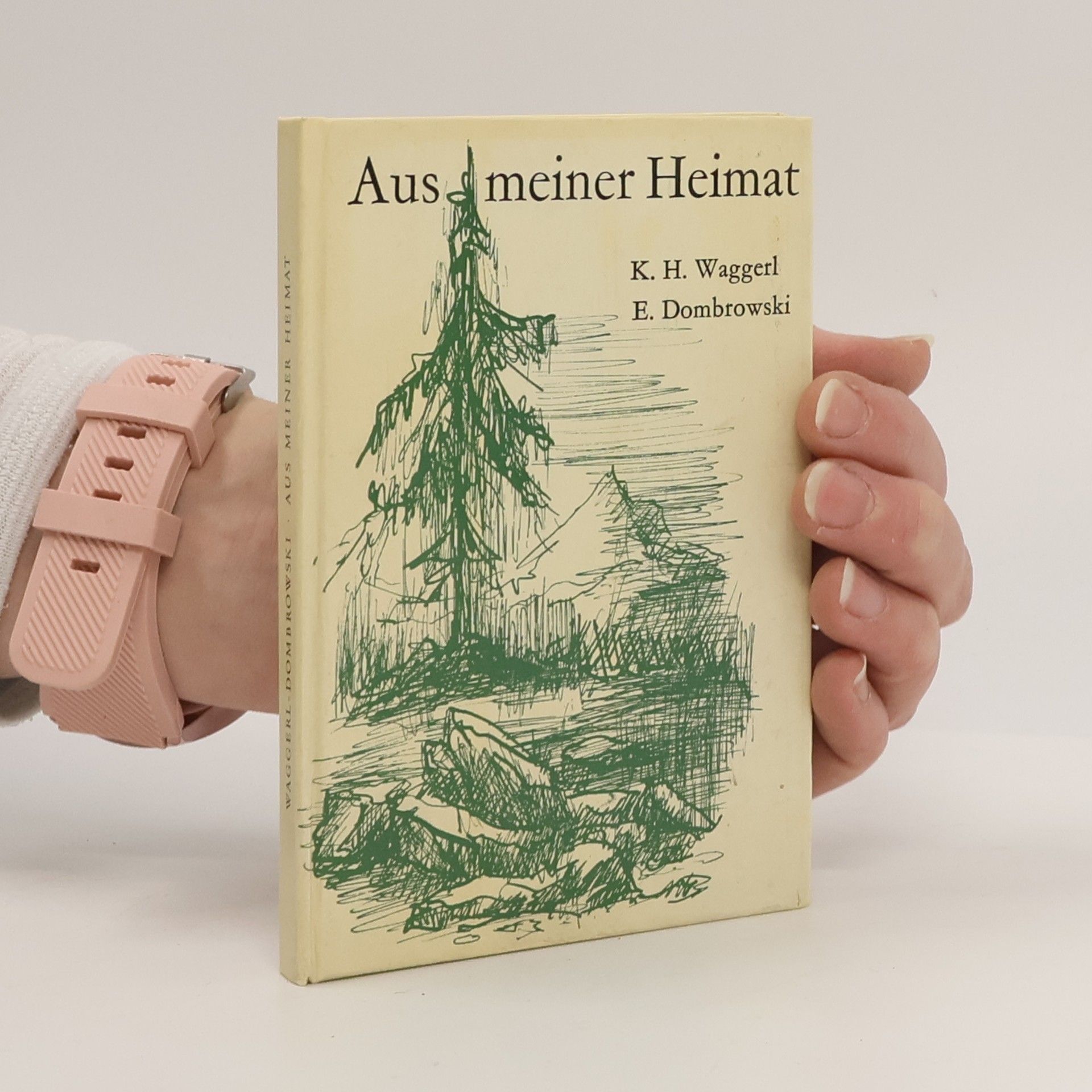 Ernst von Dombrowski Aus meiner Heimat