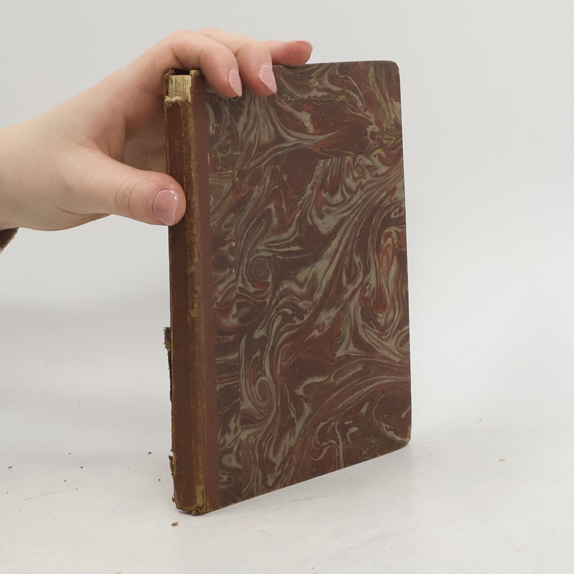 Konrad Linz Der Dornenweg des letzten Baren