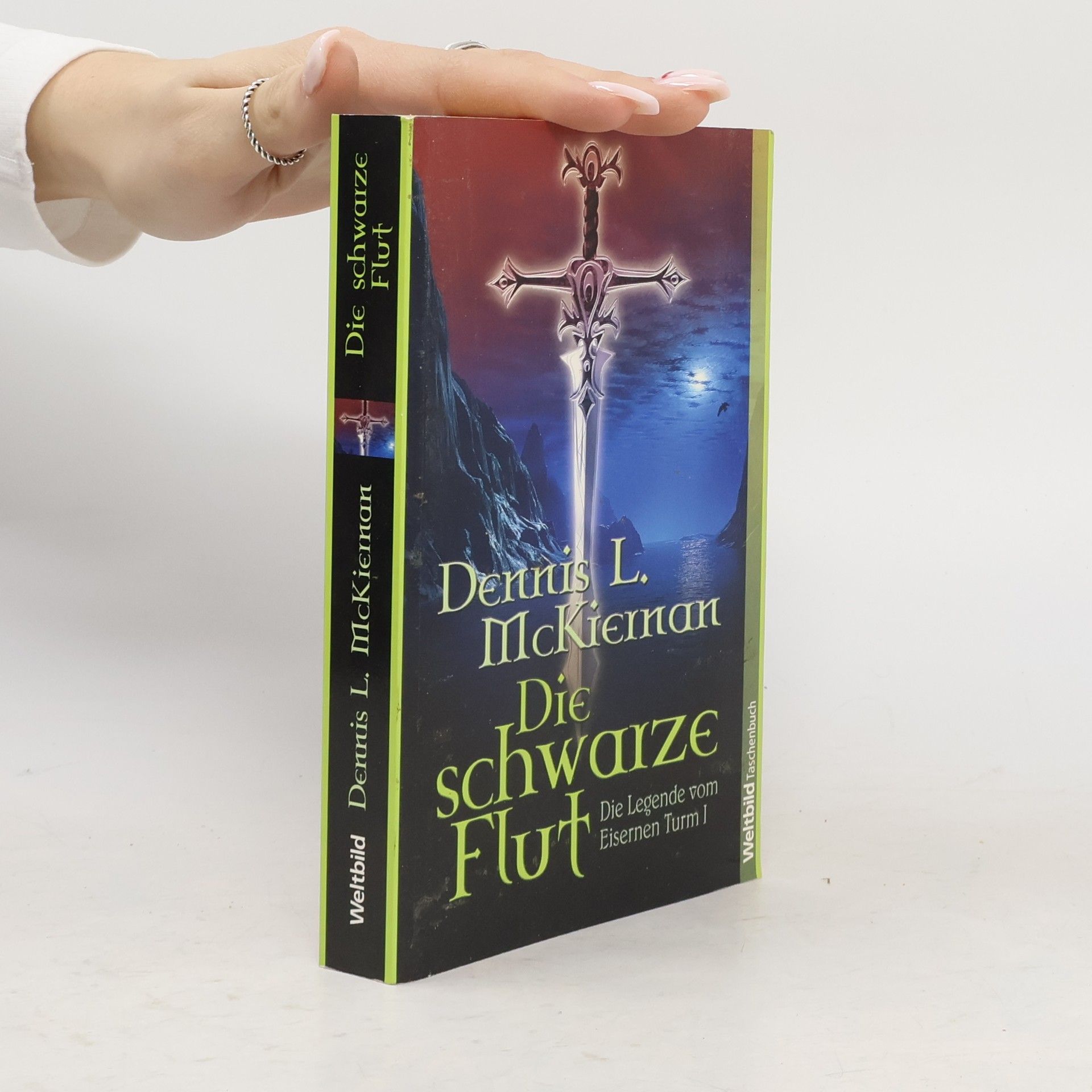 Dennis L. McKiernan Die schwarze Flut