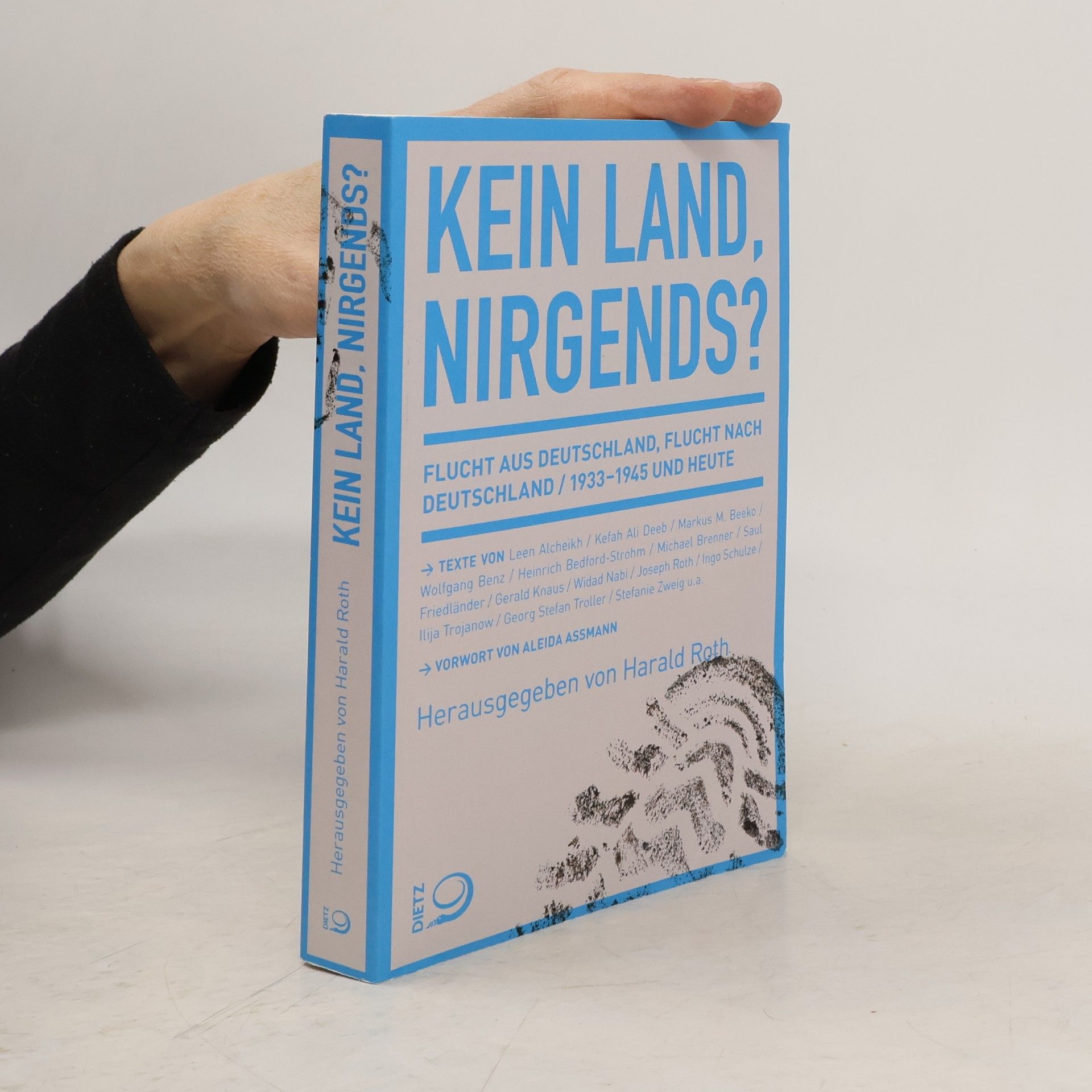 Harald Roth Kein Land, nirgends?