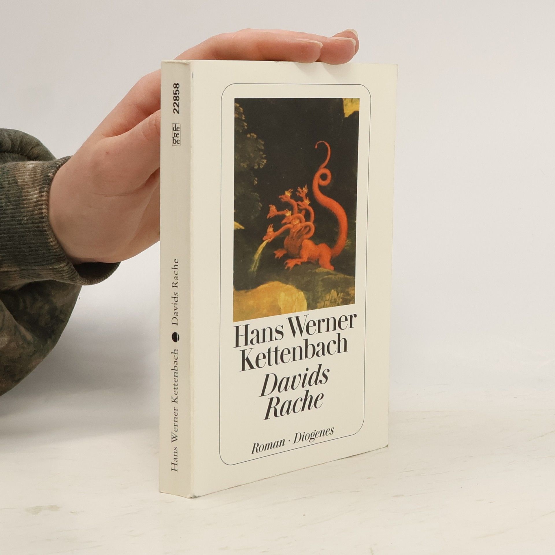 Hans Werner Kettenbach Davids Rache