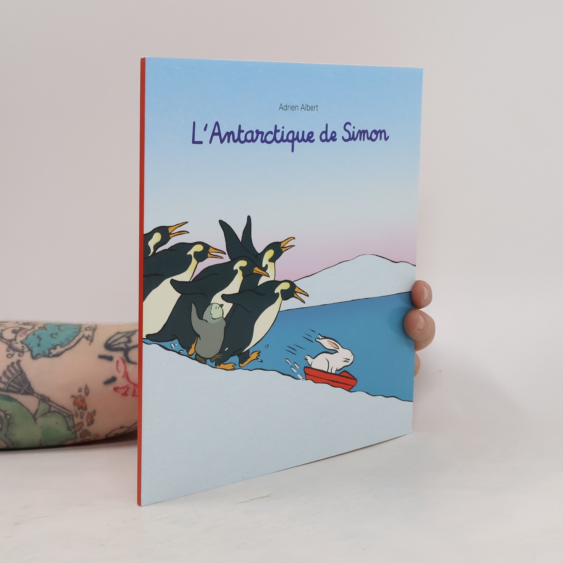 L' Antarctique de Simon