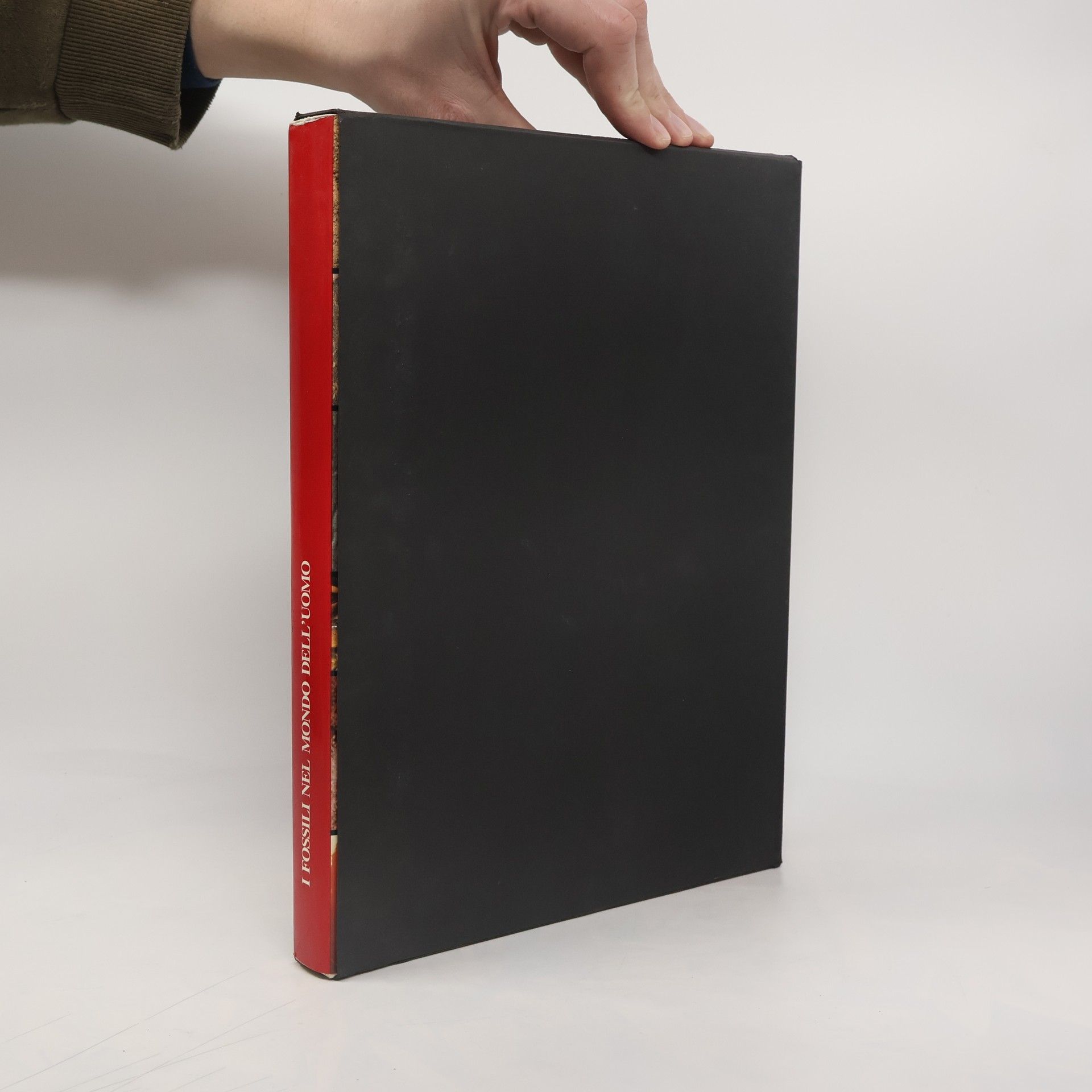 Enrico Annoscia I Fossili nel Mondo dell'Uomo