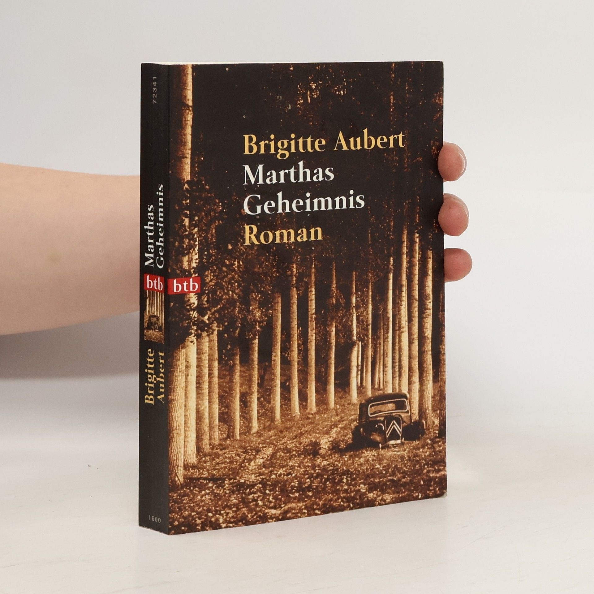 Brigitte Aubert Marthas Geheimnis