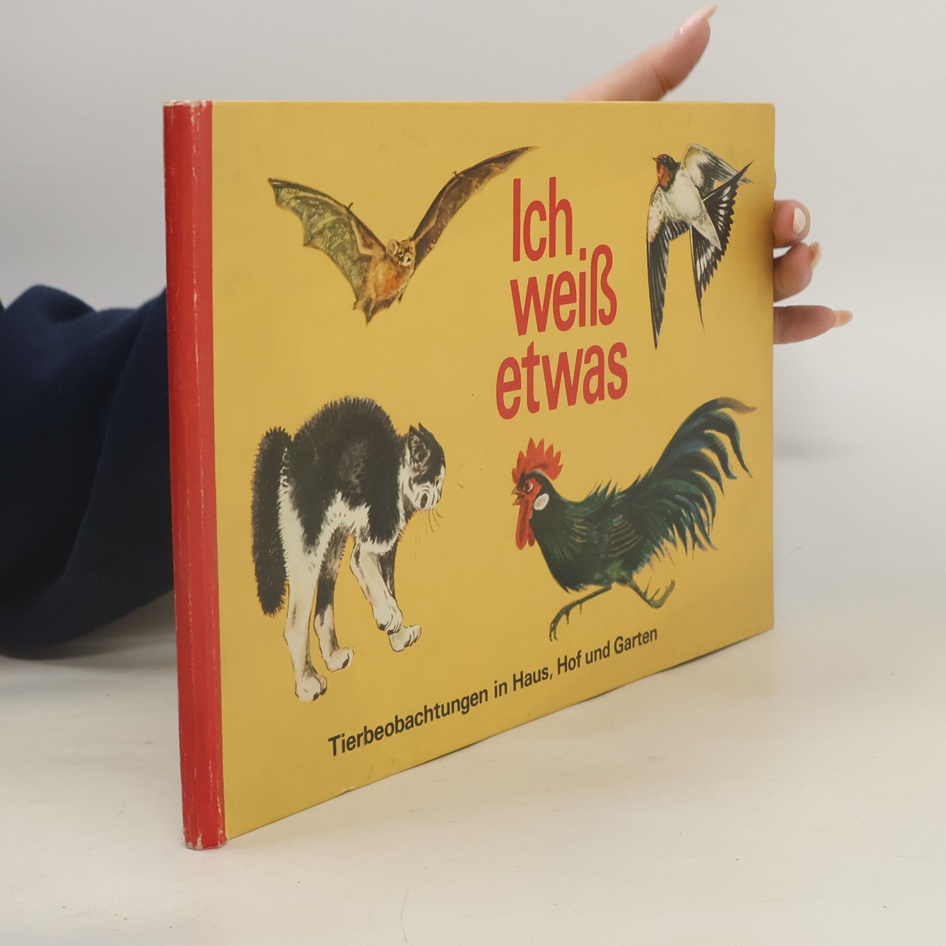 Collectif d'auteurs Ich weiß etwas