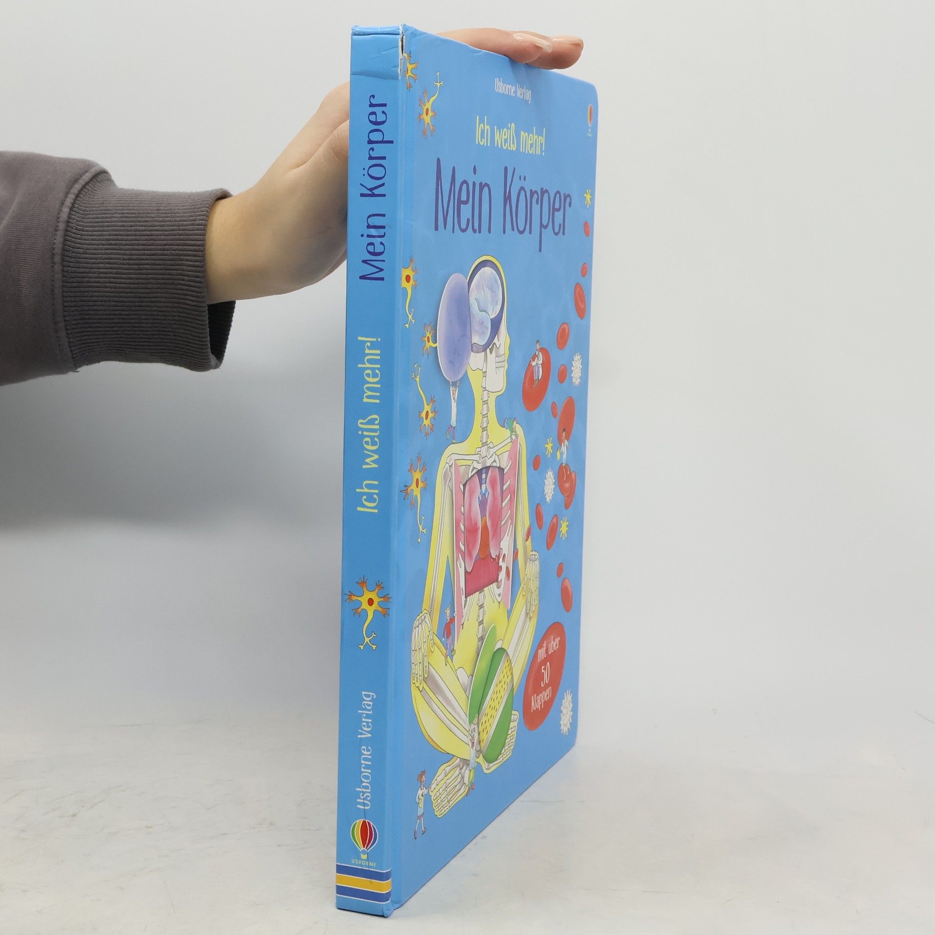 Katie Daynes Ich weiß mehr! Mein Körper