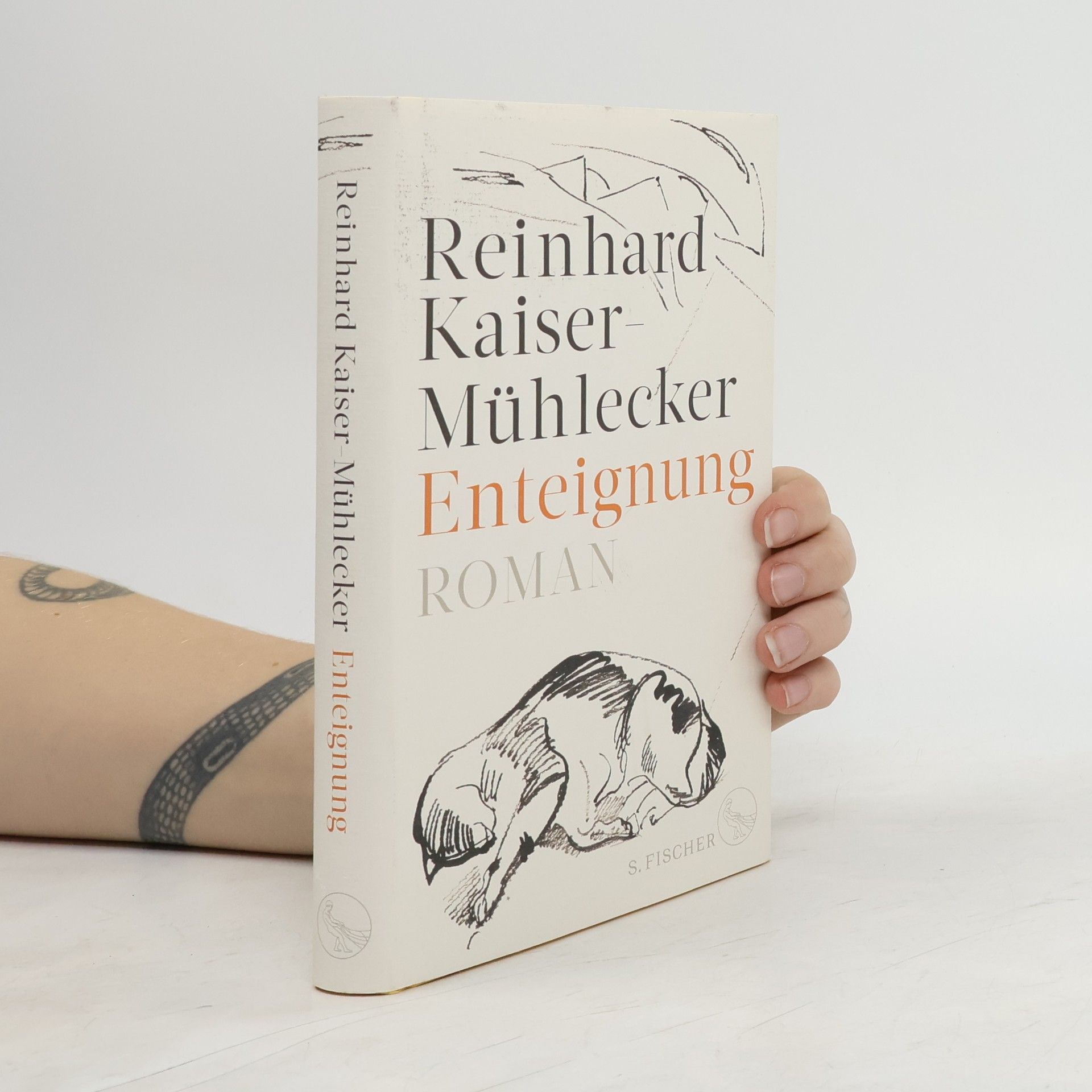 Reinhard Kaiser-Mühlecker Enteignung