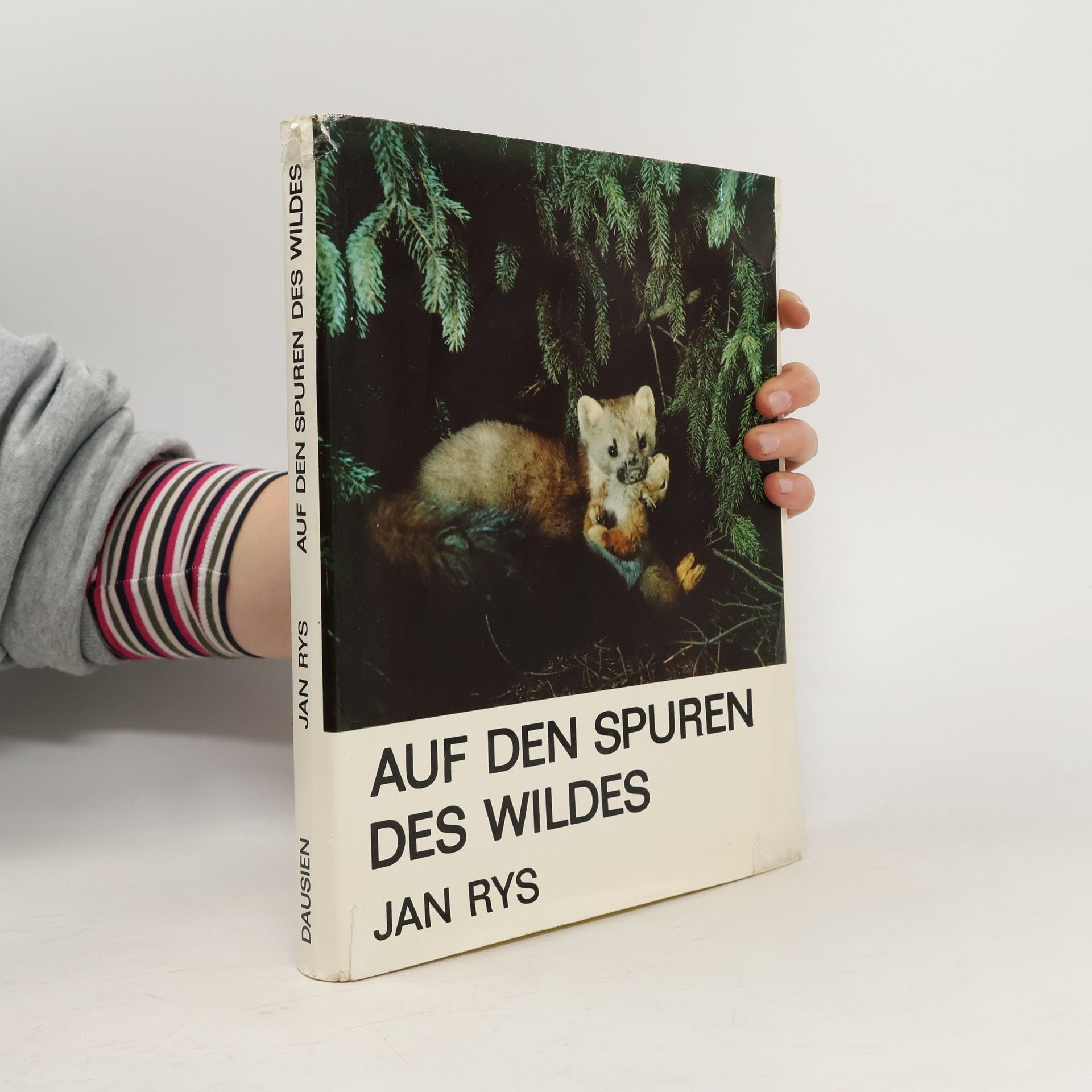 Jan Rys Auf den Spuren des Wildes