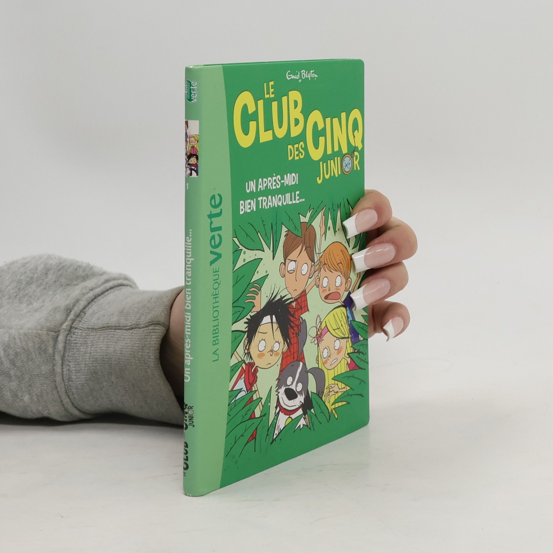 Enid Blyton Un après-midi bien tranquille...