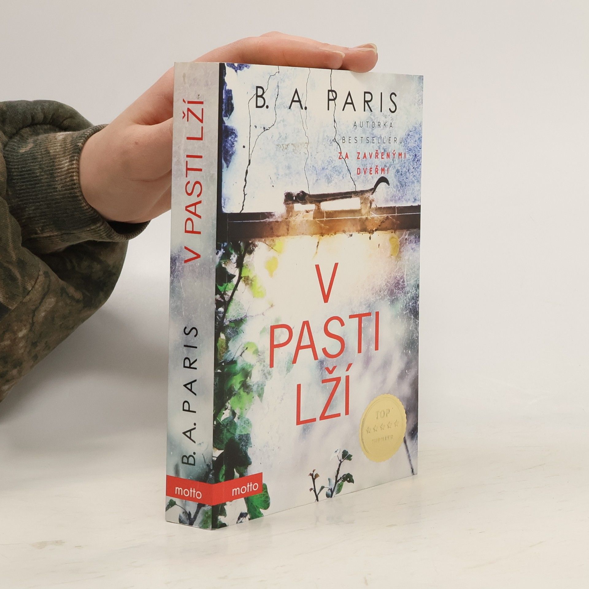 B.A. Paris V pasti lží