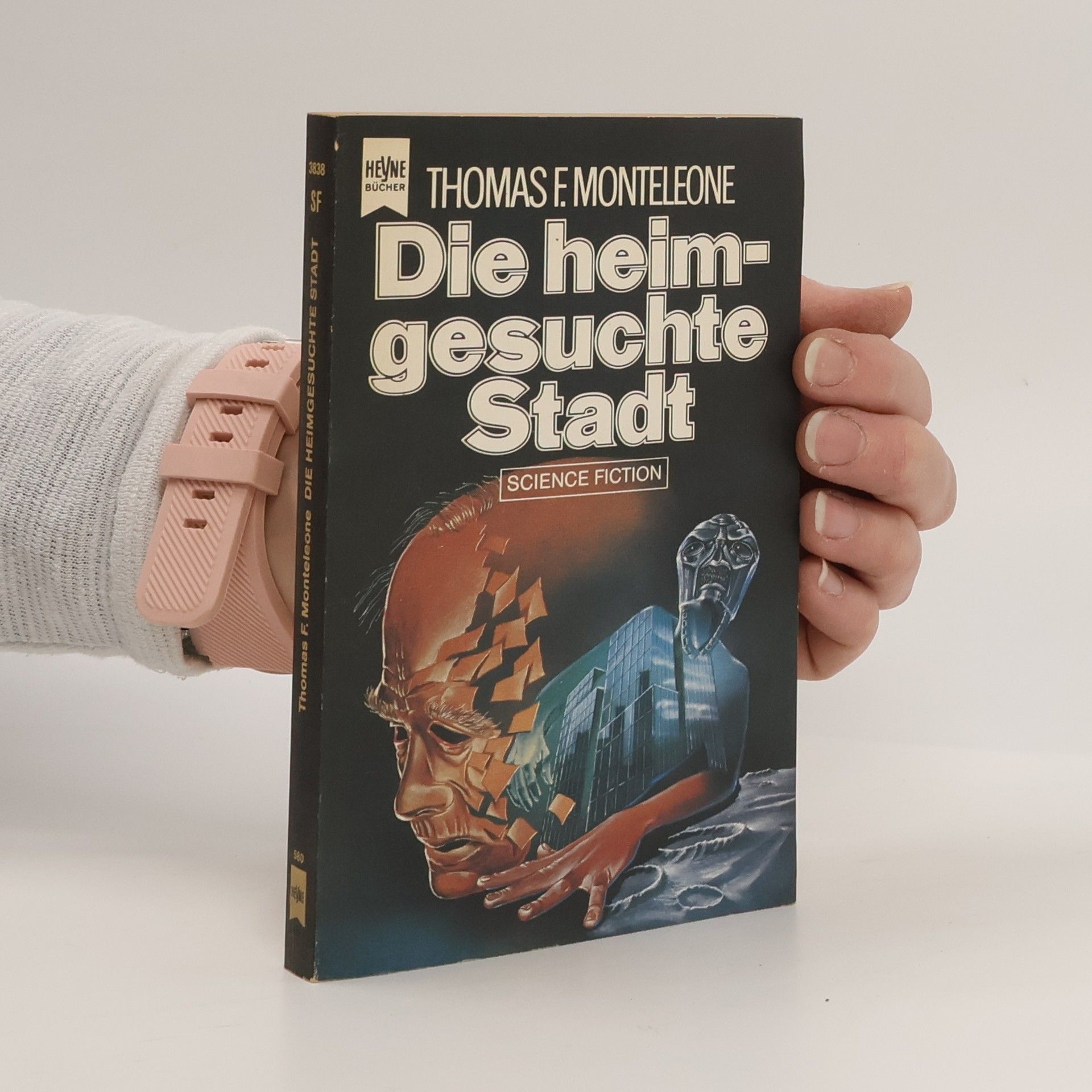 Die heimgesuchte Stadt.