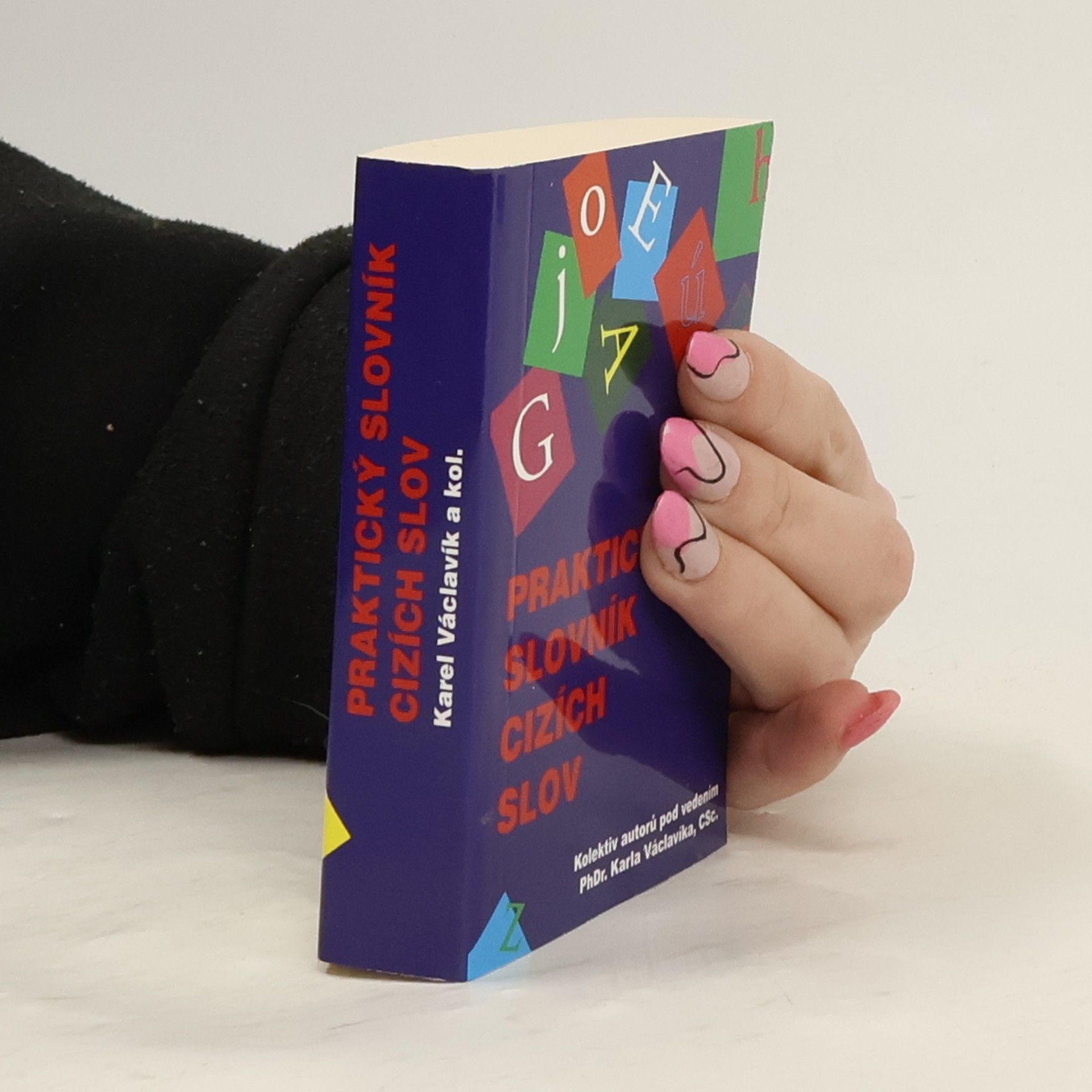 Autorenkollektiv Praktický slovník cizích slov