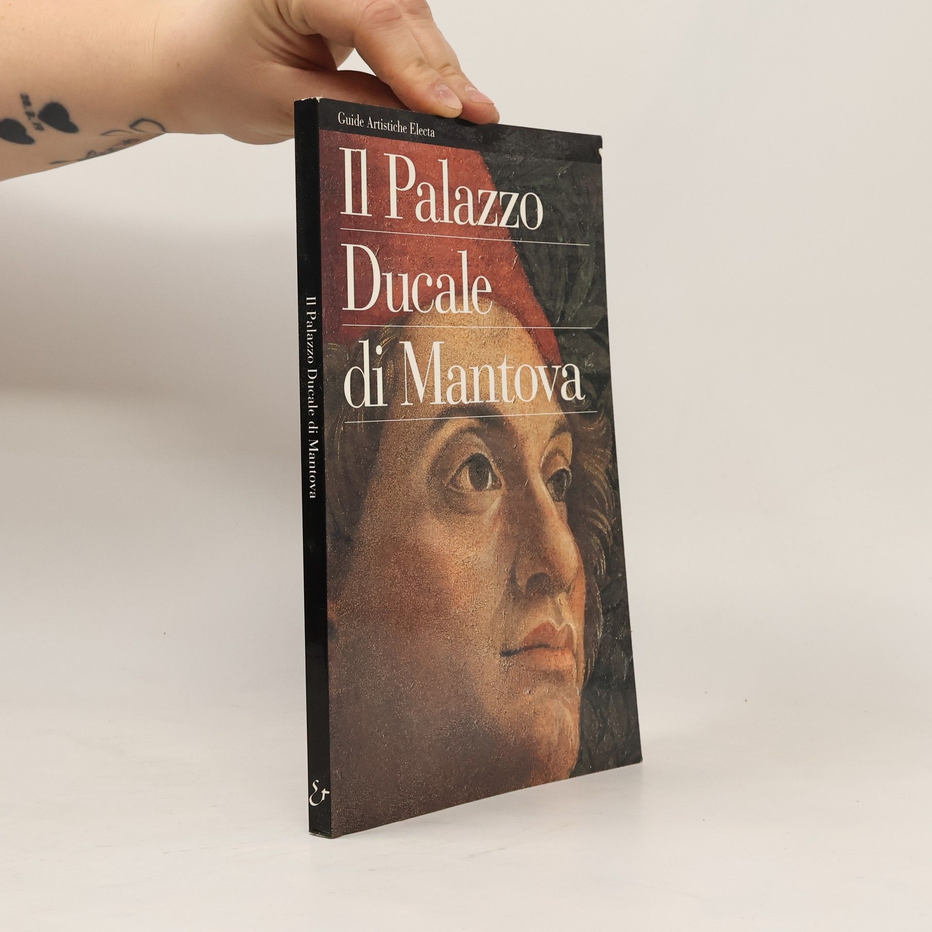 Renato Berzaghi Il Palazzo ducale di Mantova