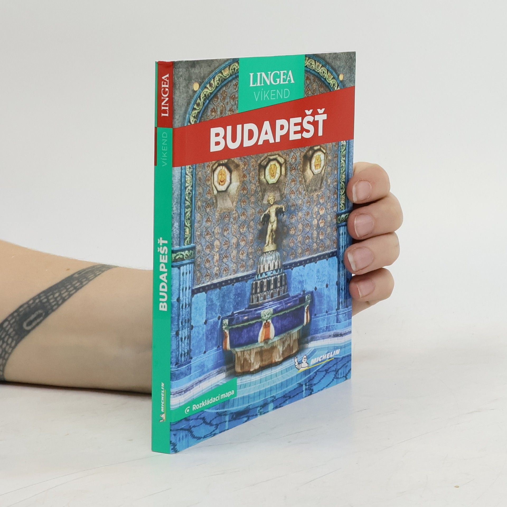 Autores varios Budapešť