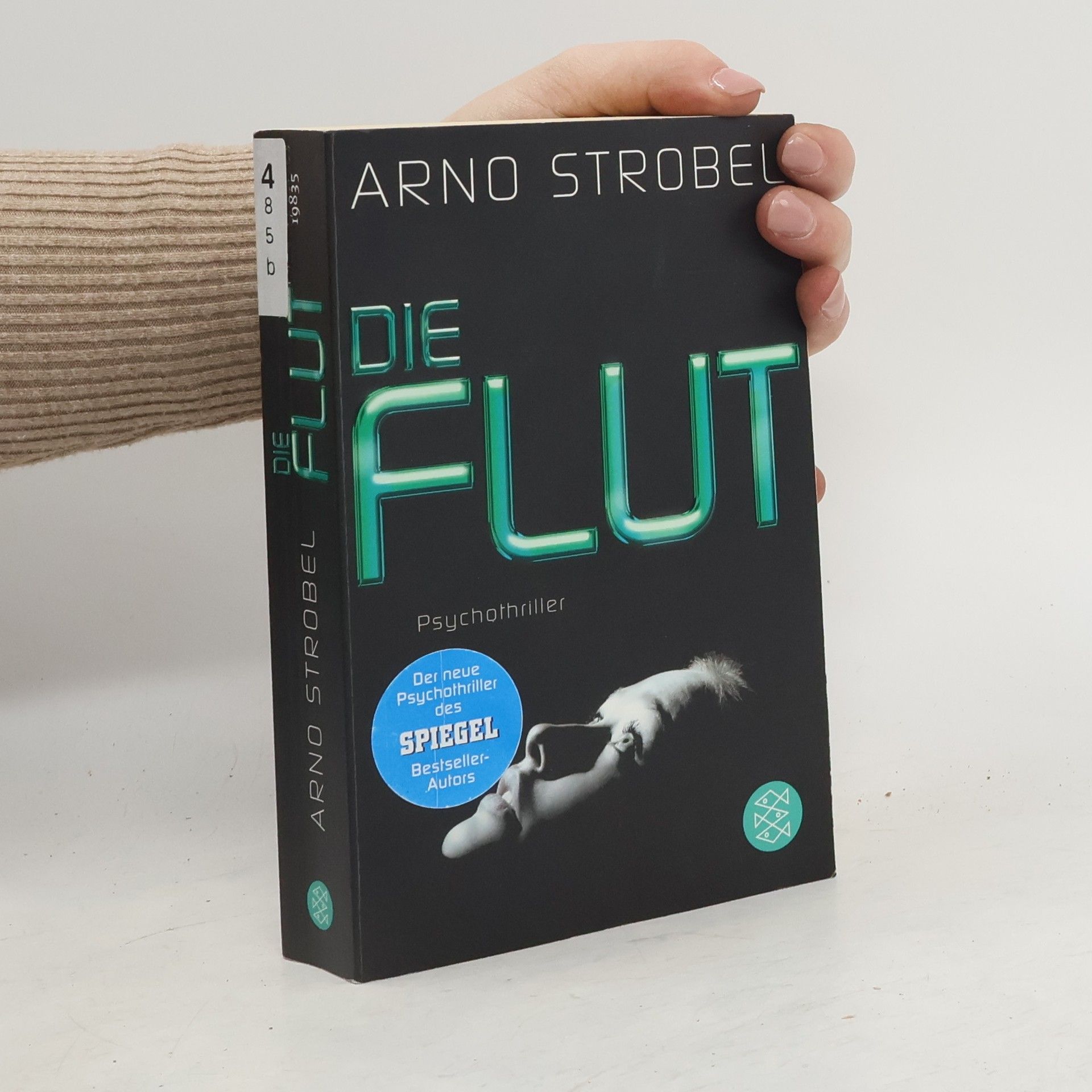 Arno Strobel Die Flut