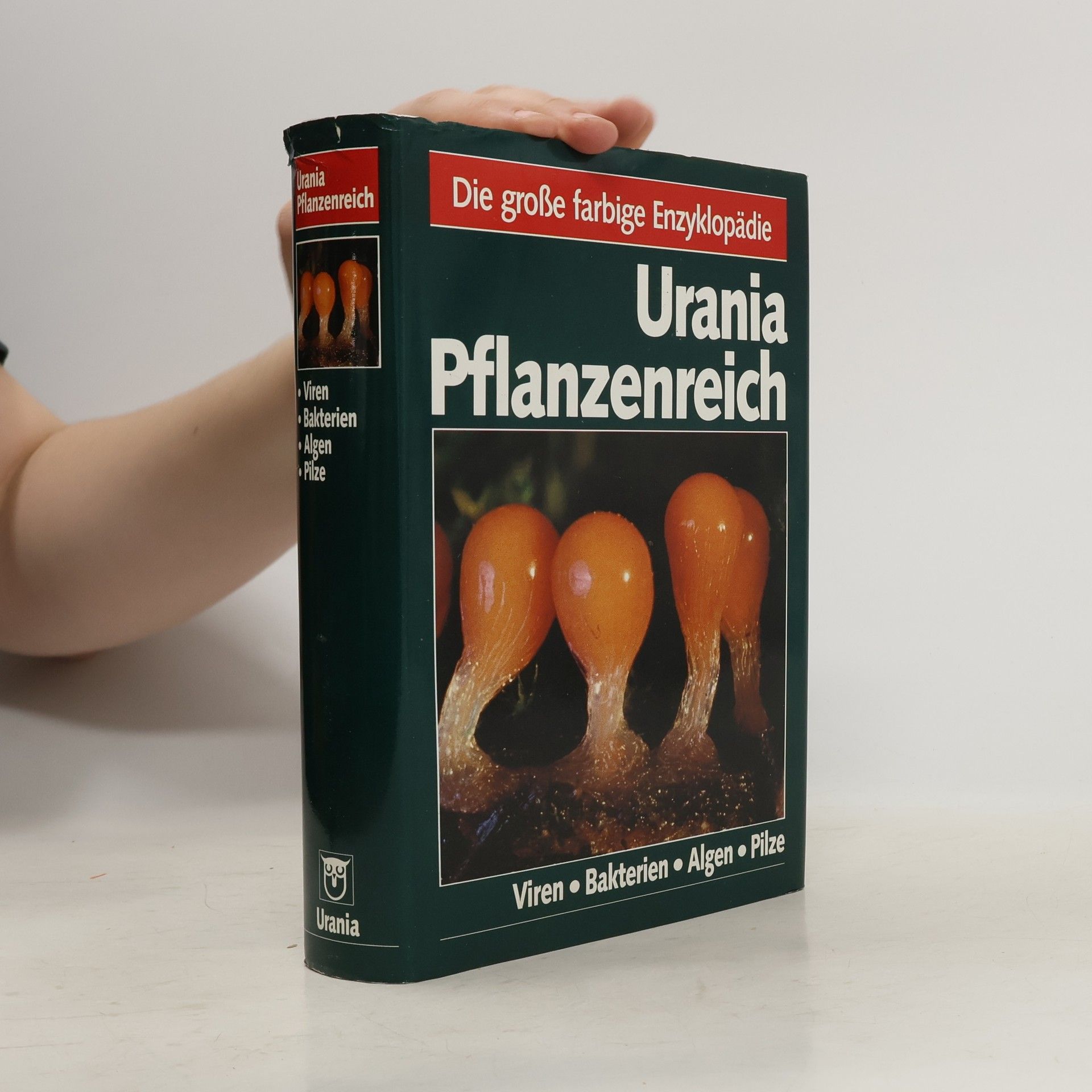 Rudolf Schubert Urania Pflanzenreich: Viren, Bakterien, Algen, Pilze