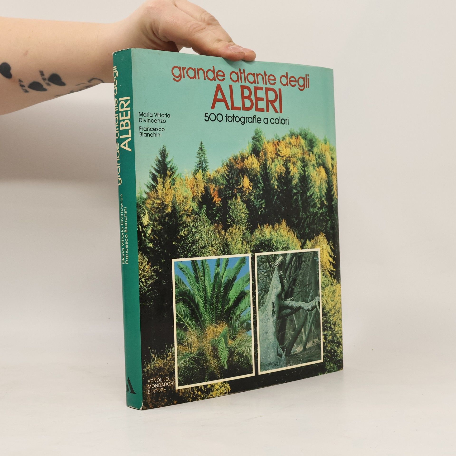 Maria Vittoria Divincenzo Grande atlante degli alberi