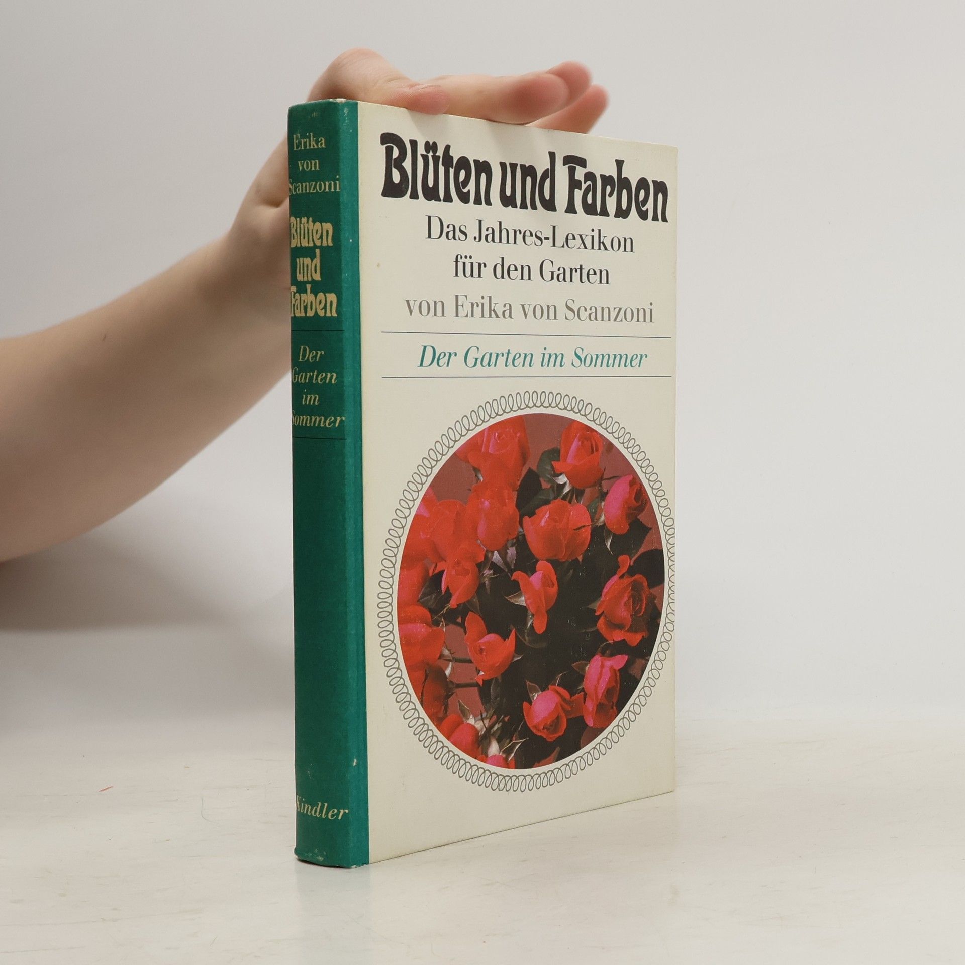 Blüten und Farben. Der Garten im Sommer