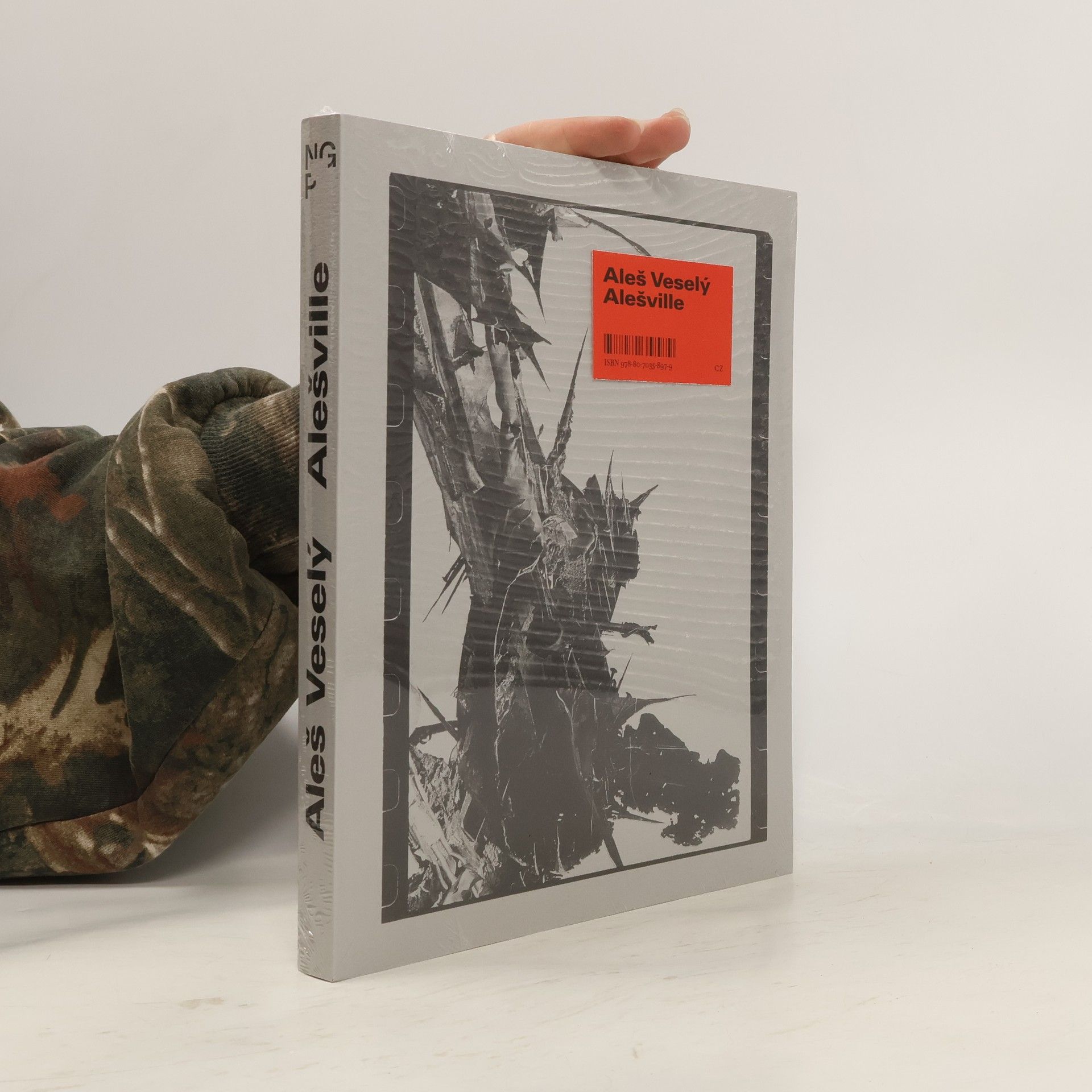 Aleš Veselý - Alešville