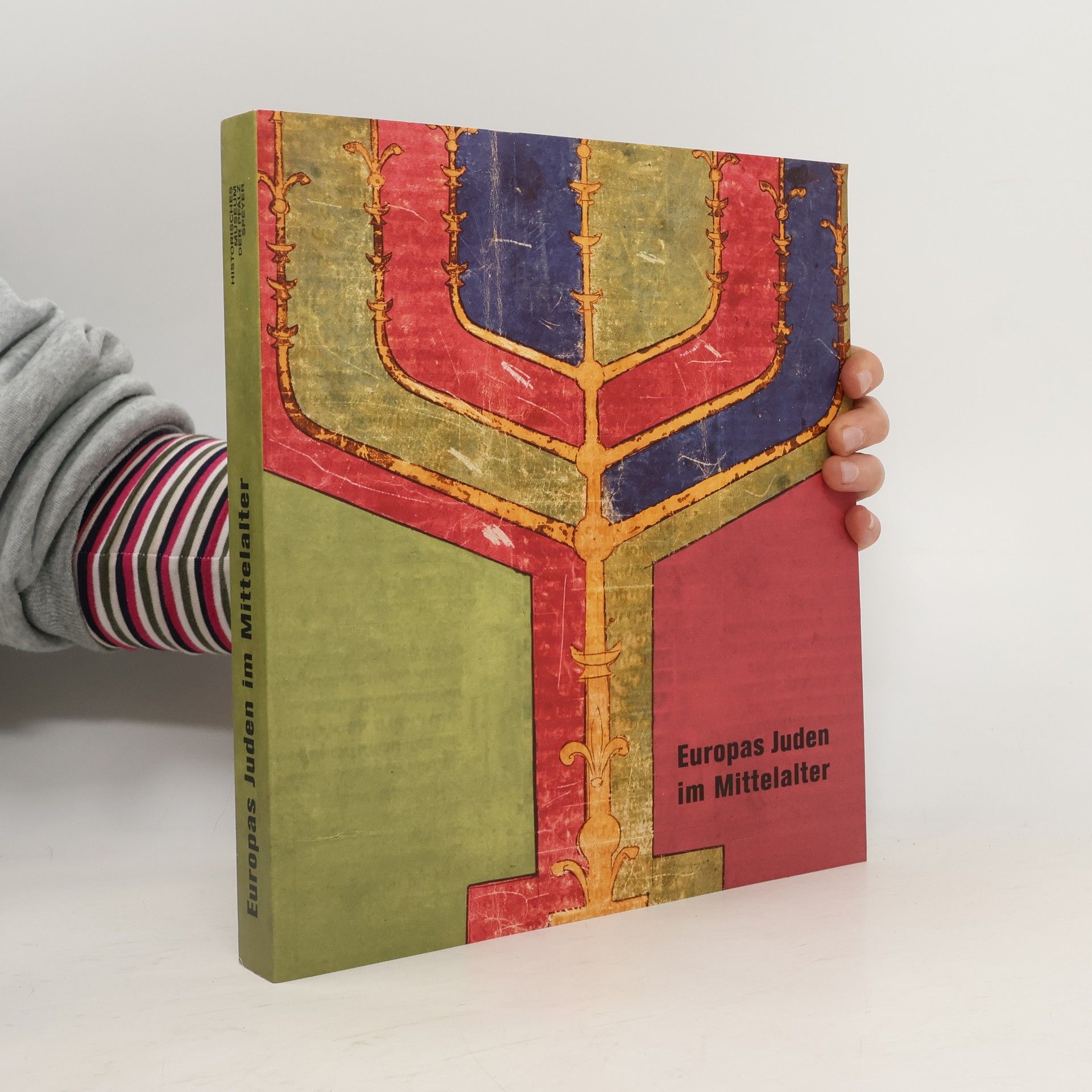 Alfred Haverkamp Europas Juden im Mittelalter