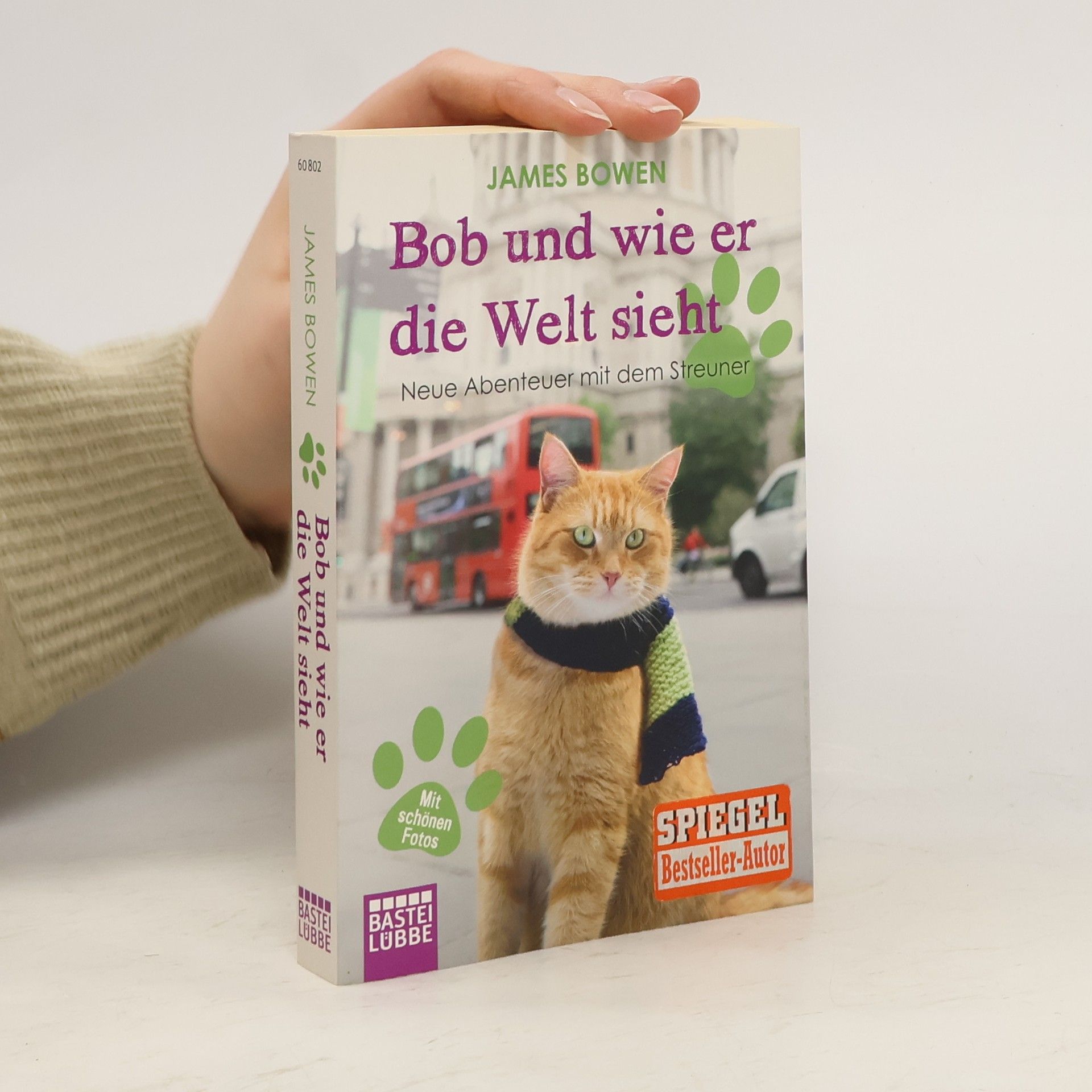 James Bowen Bob und wie er die Welt sieht