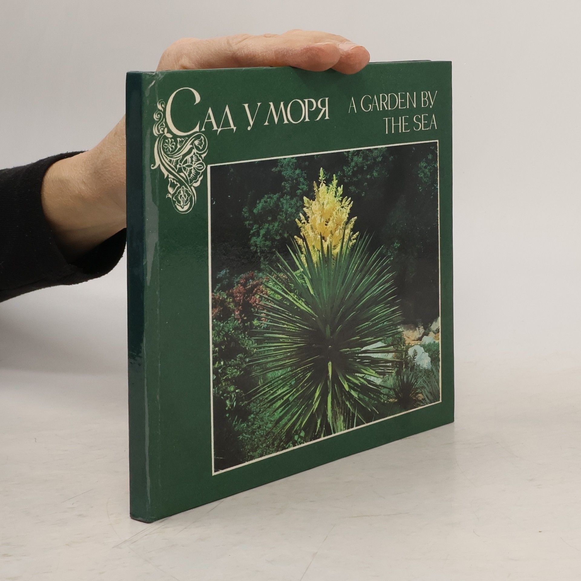 Kolektiv autorů Сад у моря