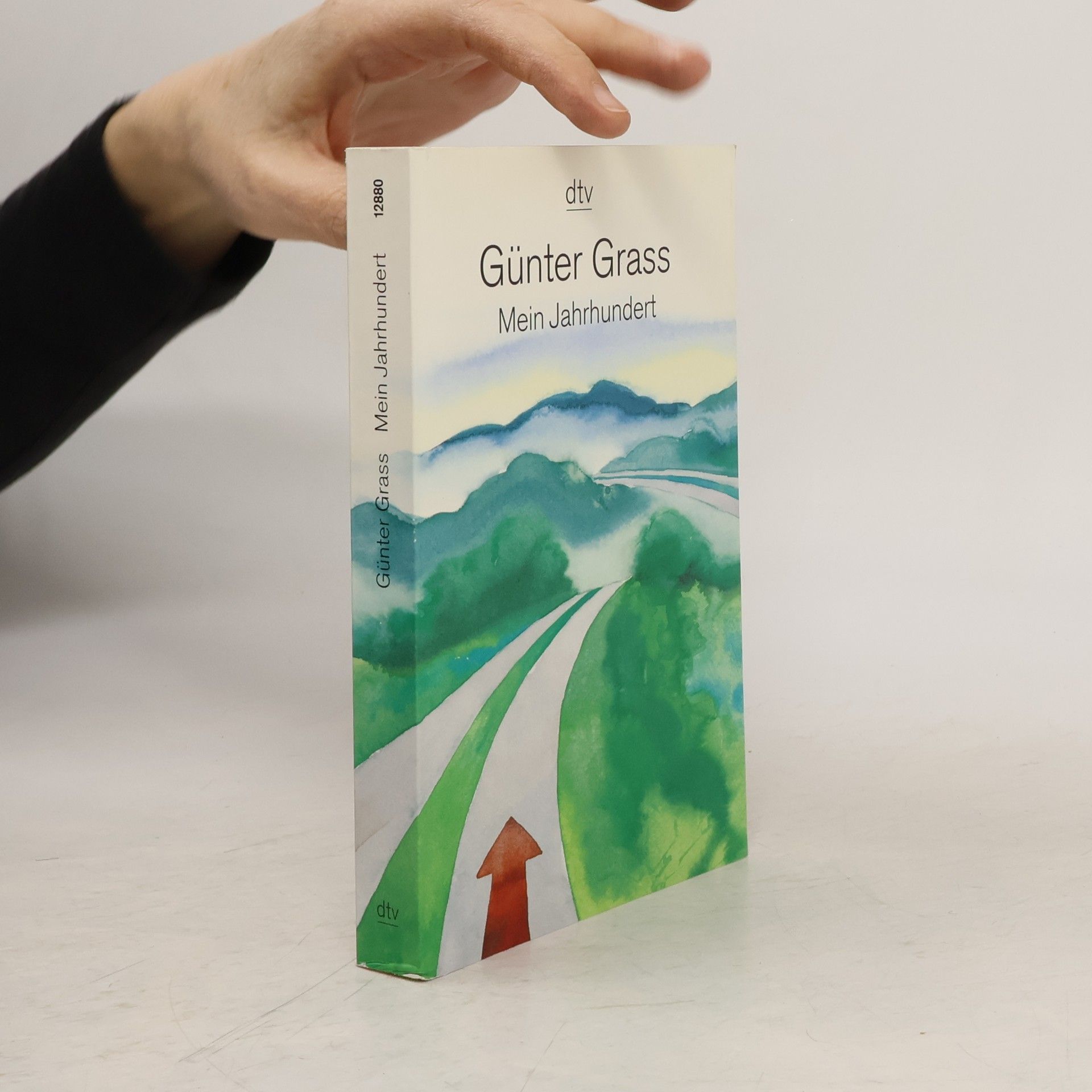 Günter Grass Mein Jahrhundert
