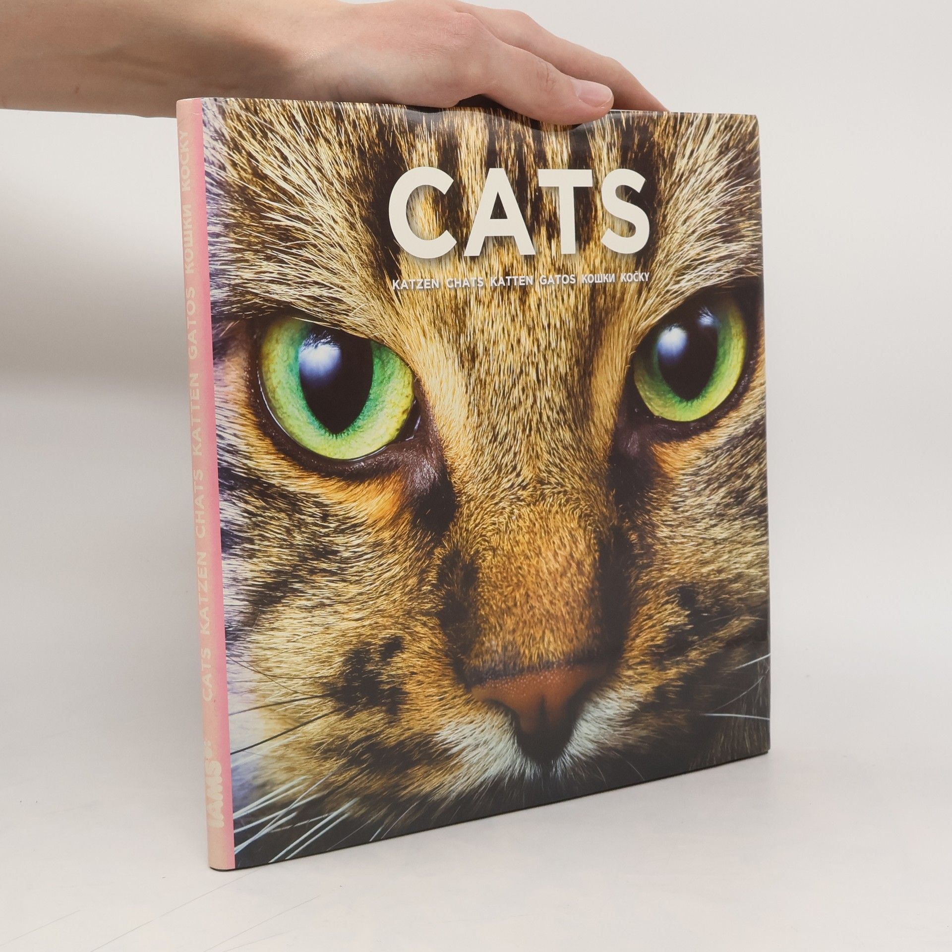 Collectif d'auteurs Cats