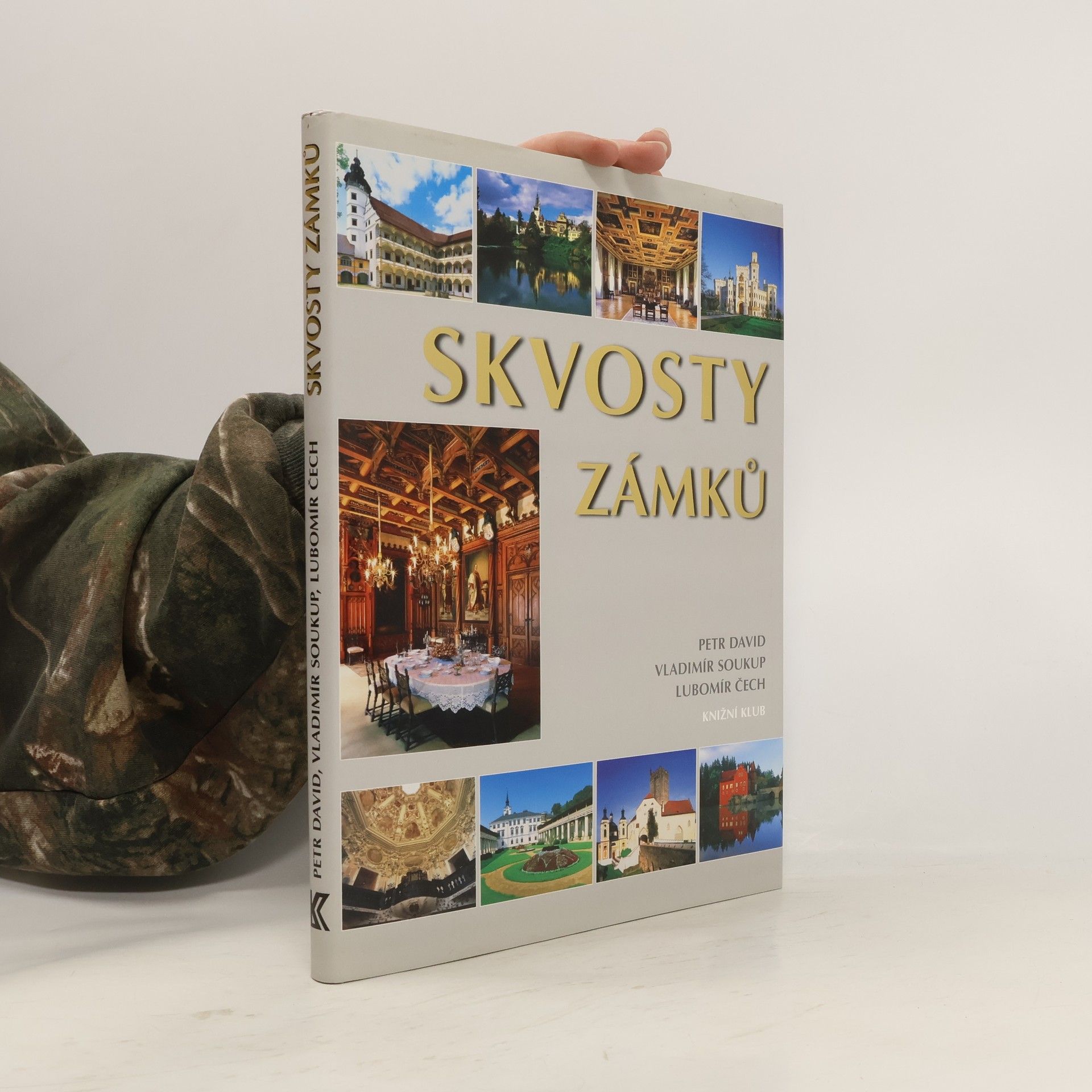 Petr David Skvosty zámků